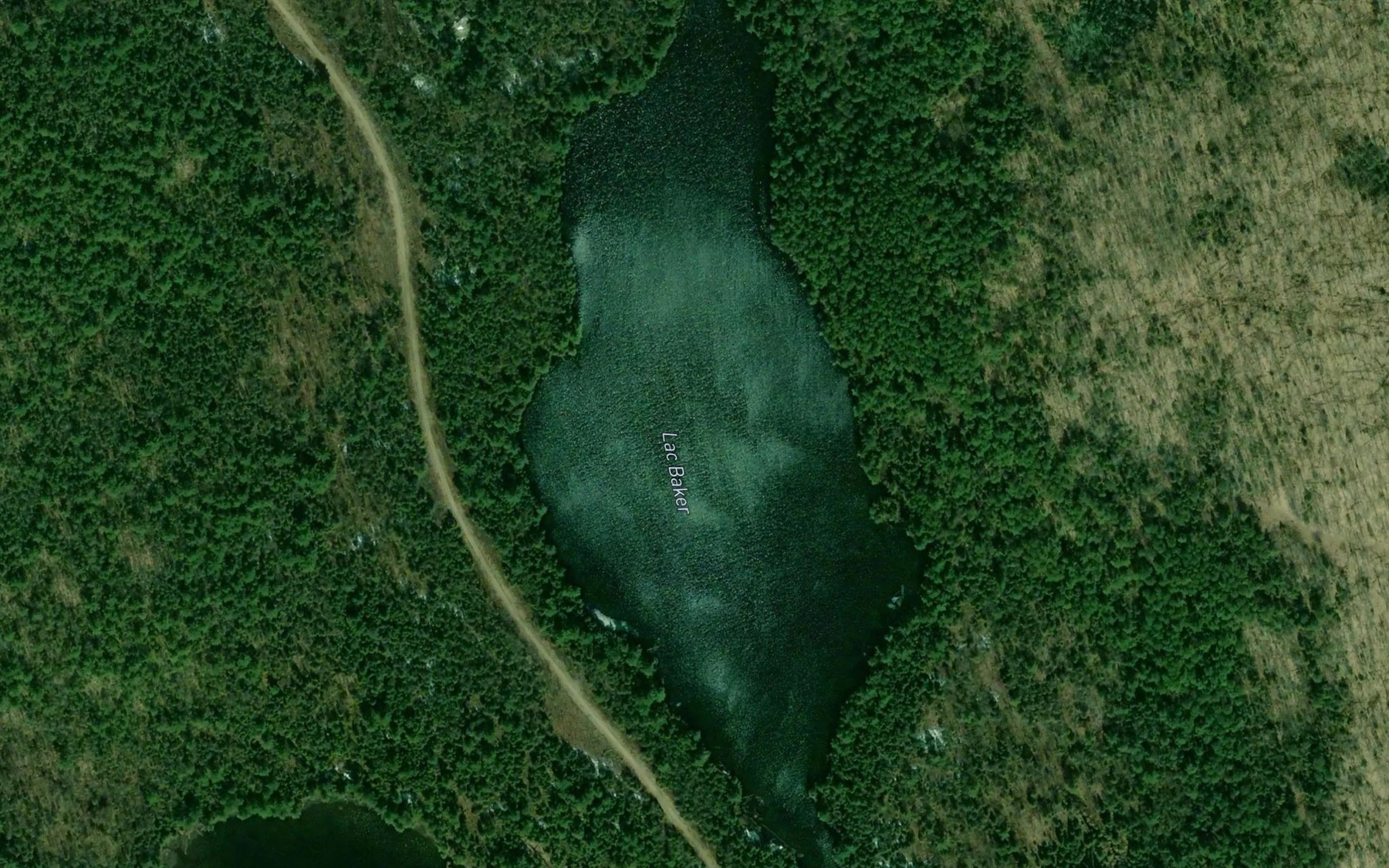 Satellite map of the Lac Baker