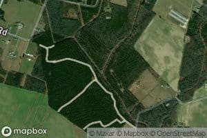 Maple Marsh and Beaver Dam Branch