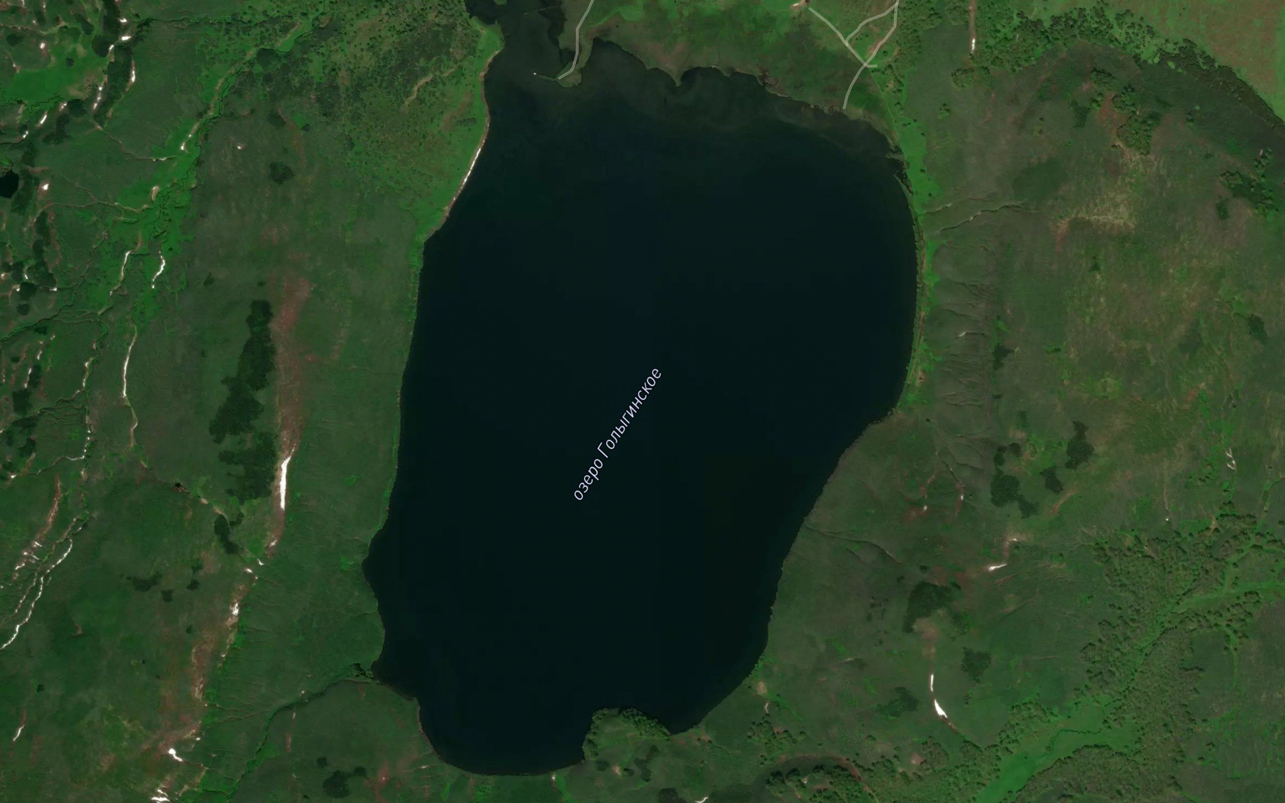 Ozero Golyginskoye
