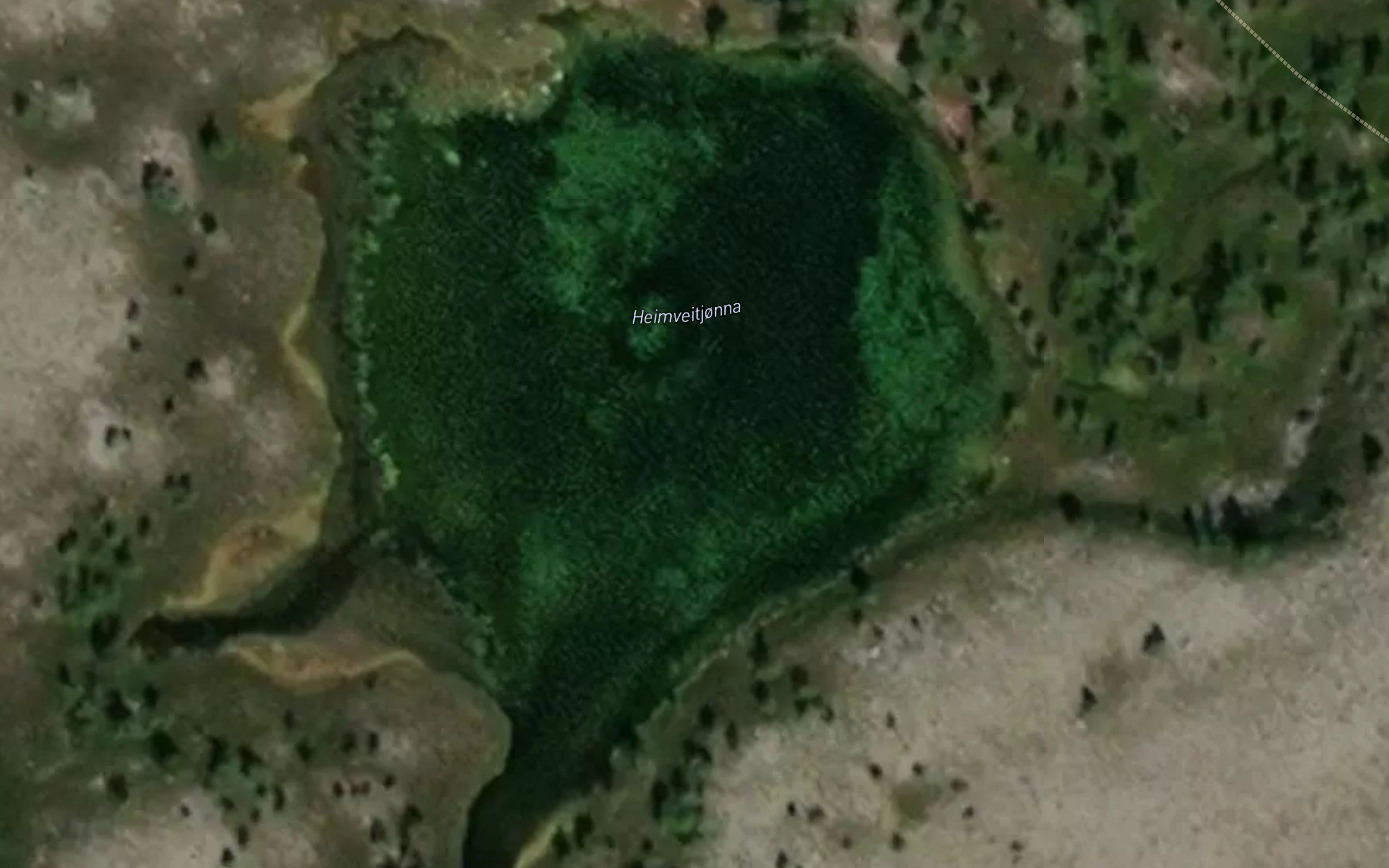 Heimveitjorna
