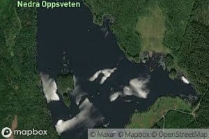 Oxsveten