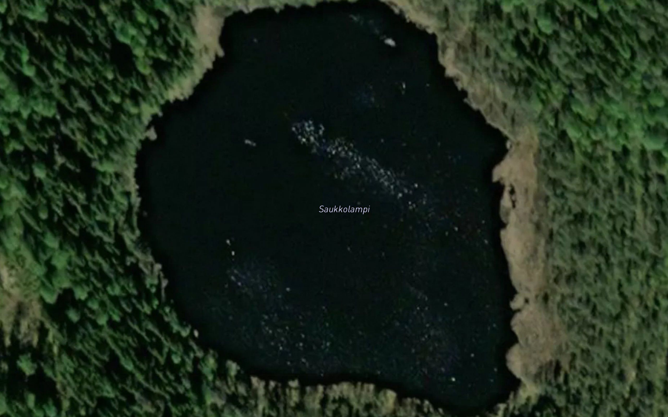 Saukkolampi