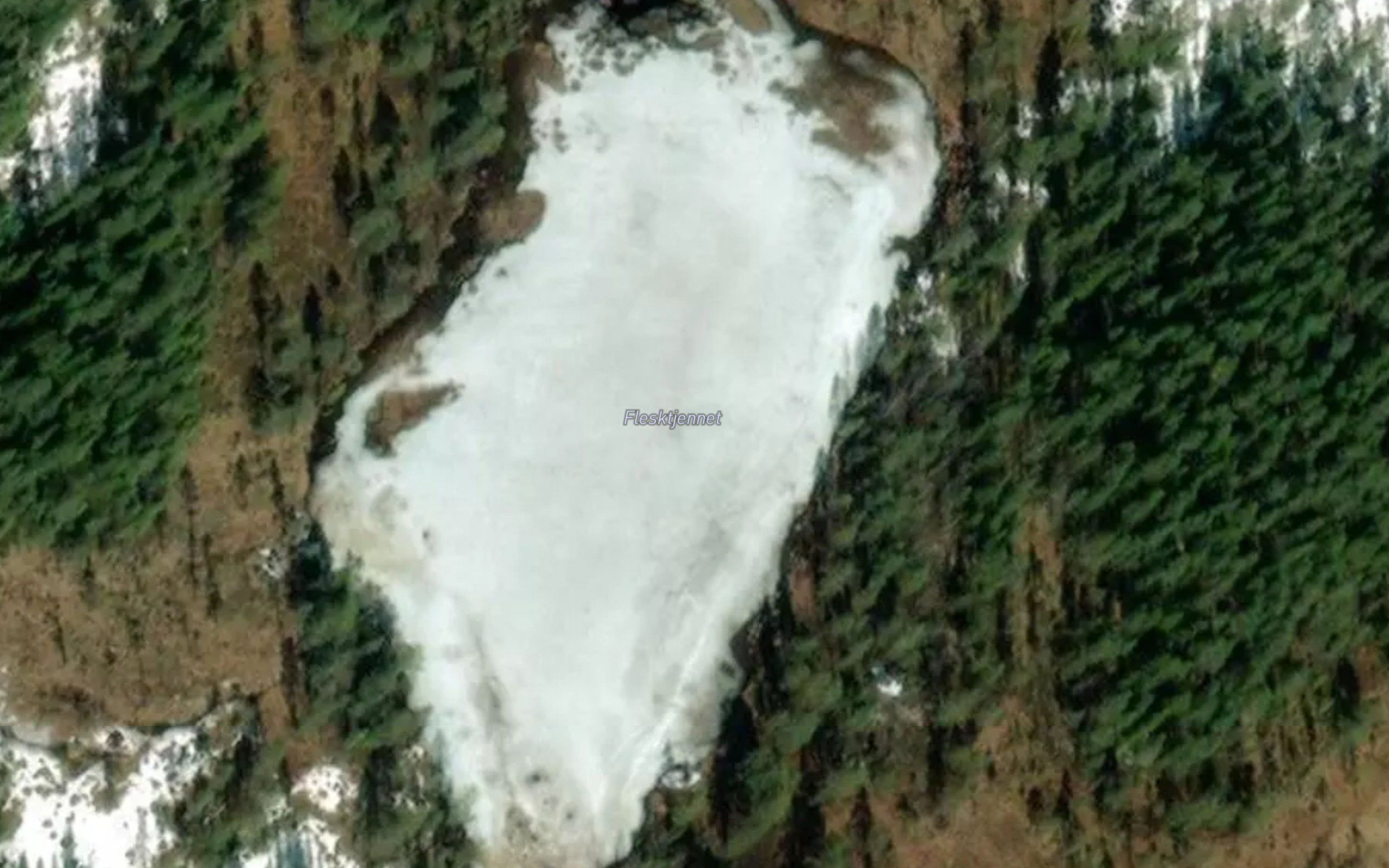Flesktjernet
