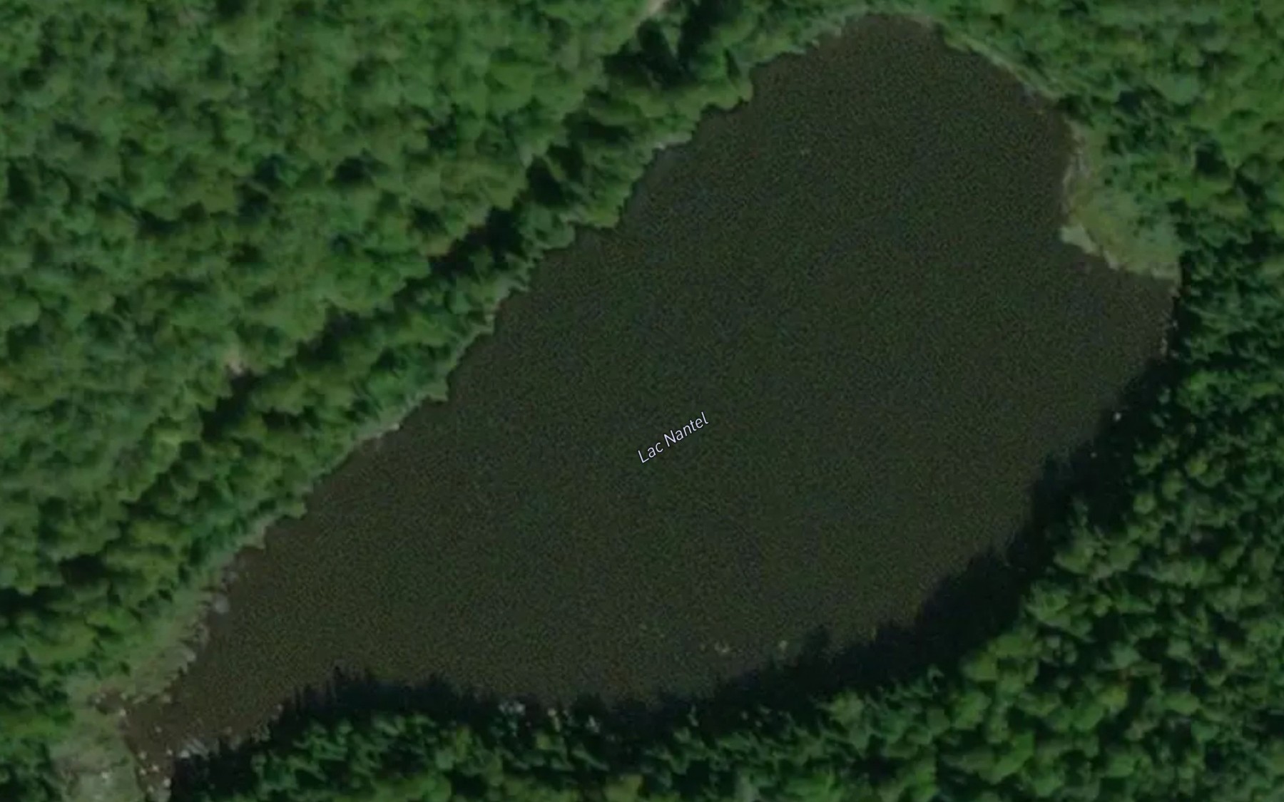 Satellite map of the Lac Nantel