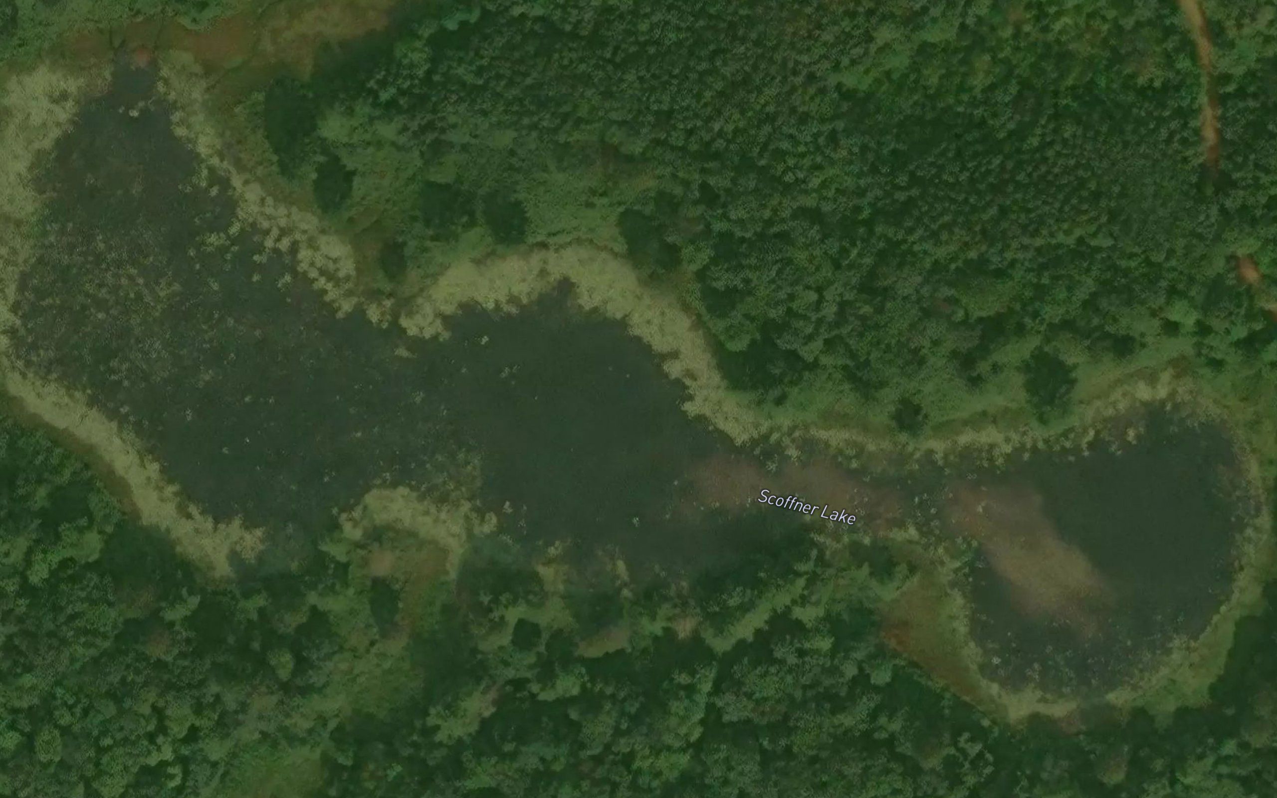 Scoffner Lake