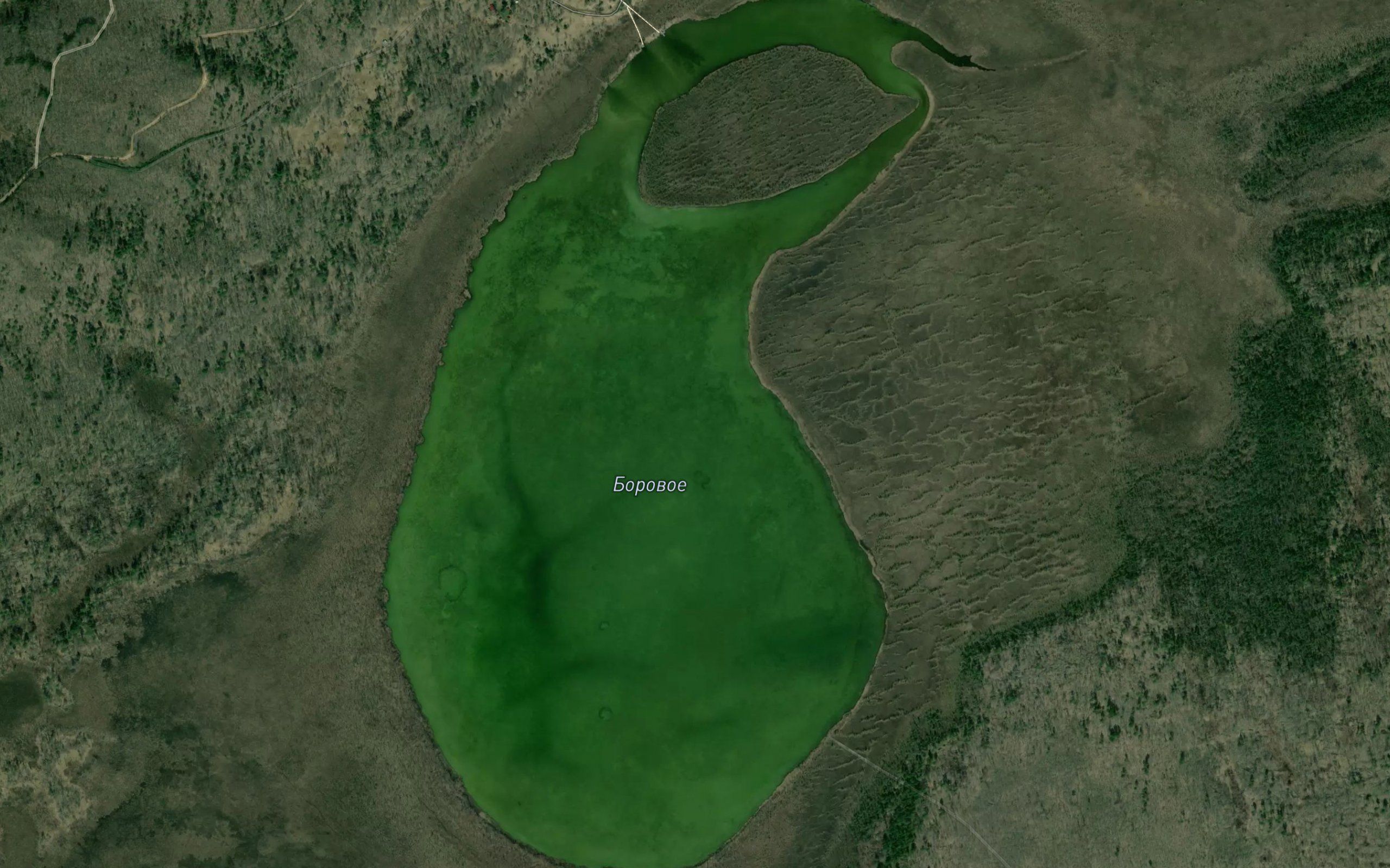 Ozero Borovoye