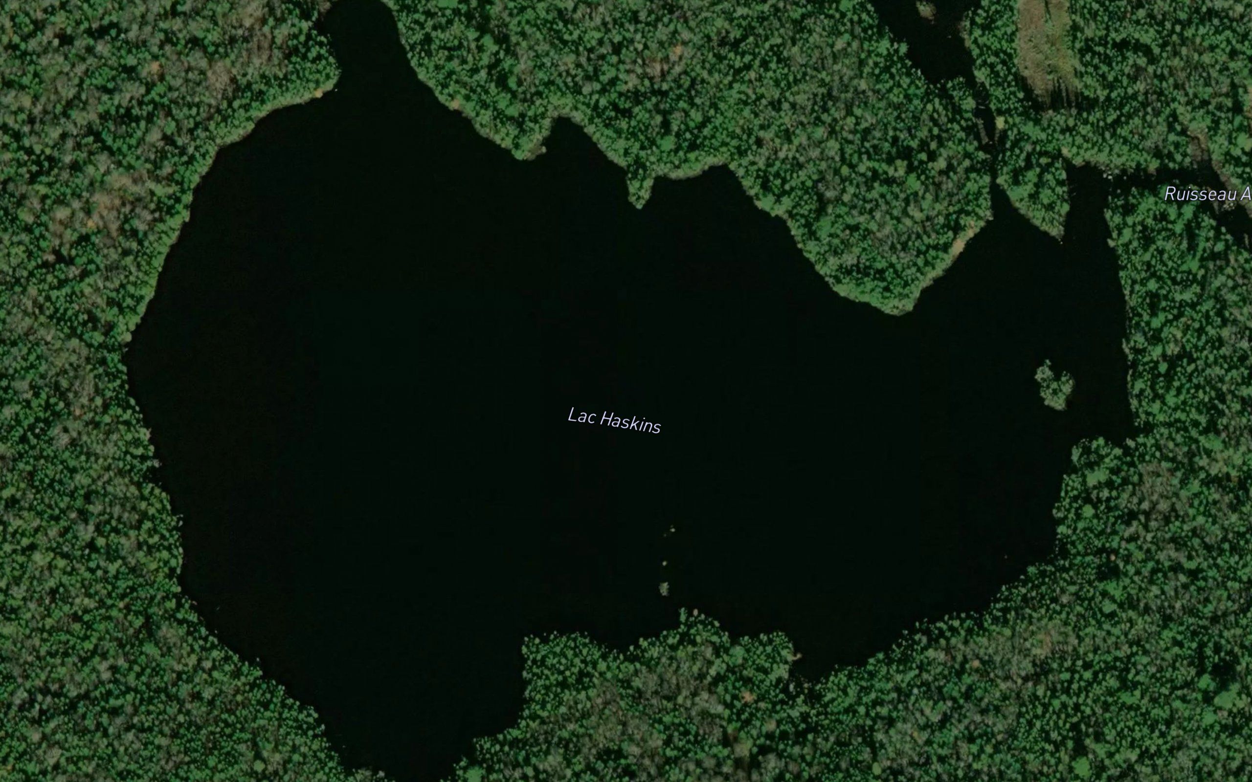 Lac Haskins