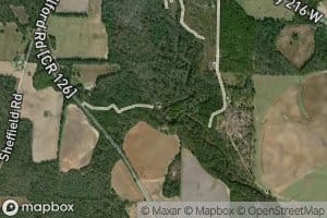 Alligator Creek