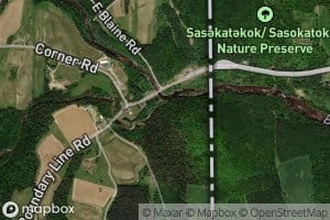 Whitney Brook