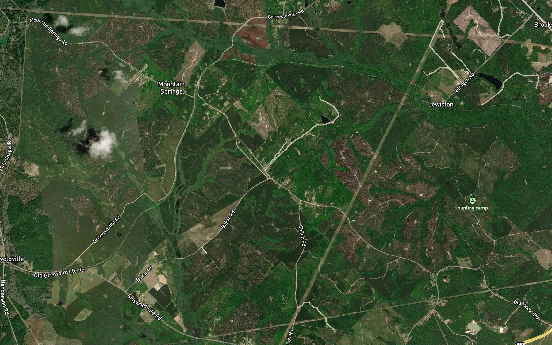 Satellite map of the Griffin Lake
