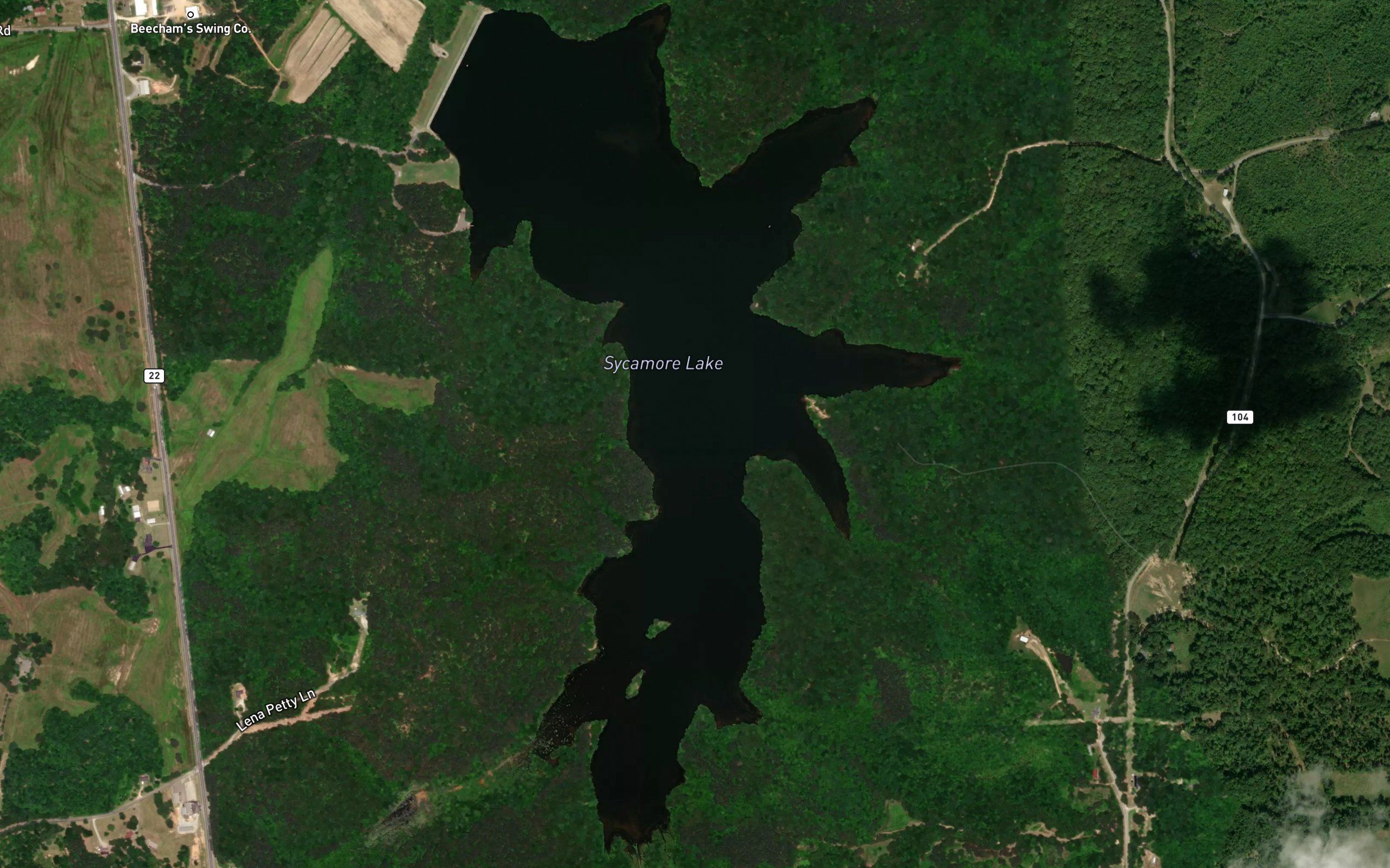Sycamore Lake