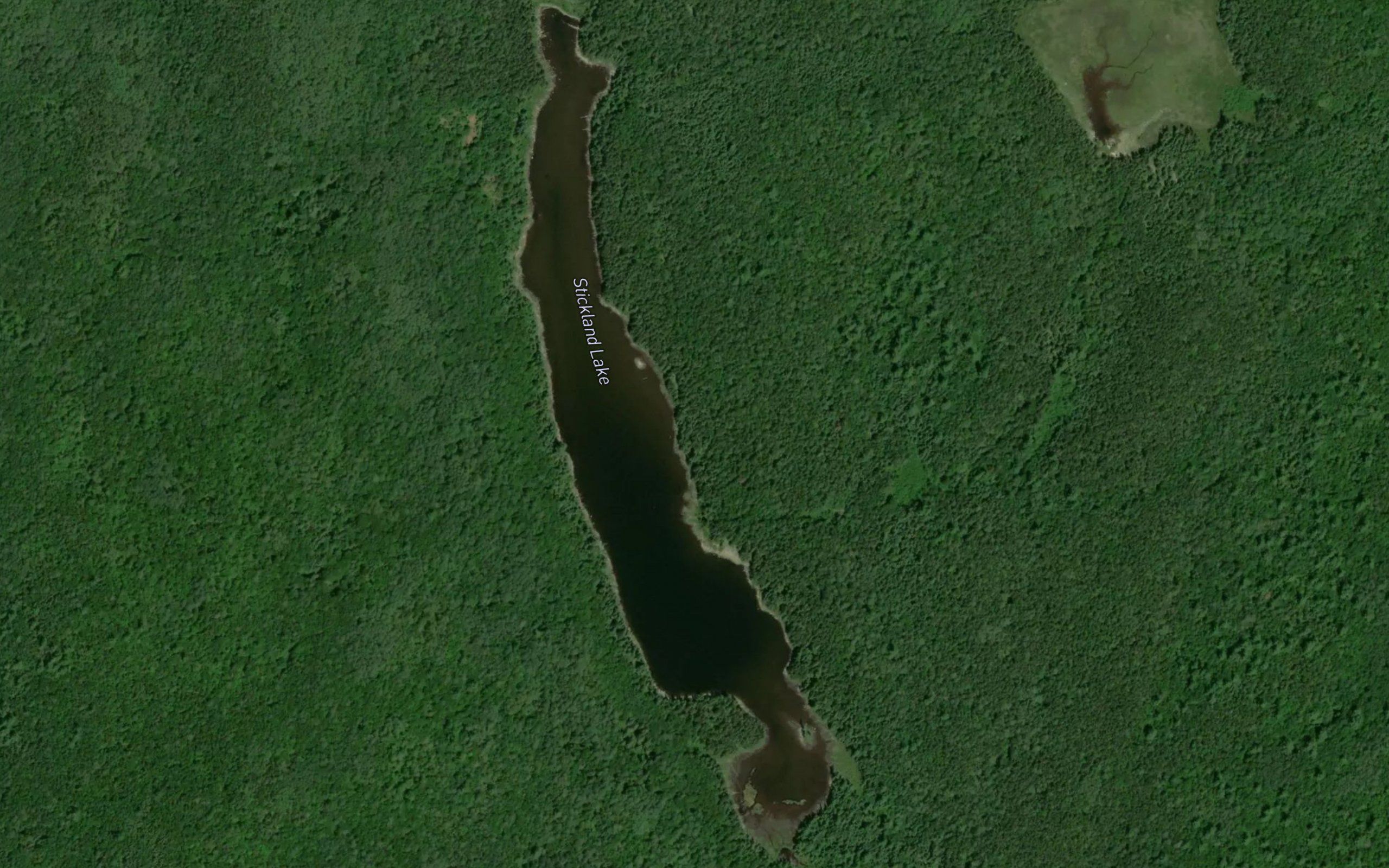 Stickland Lake