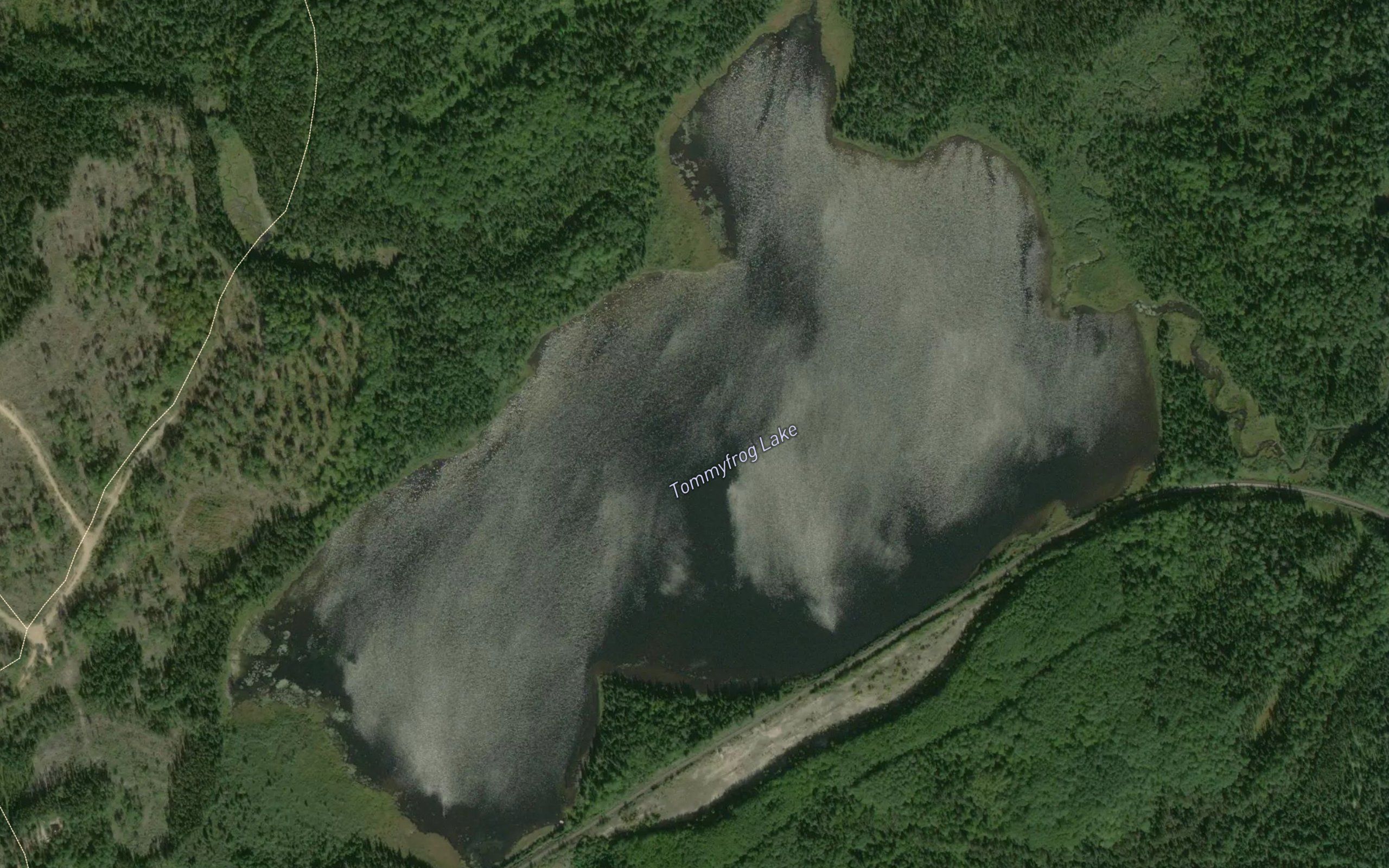 Tommyfrog Lake