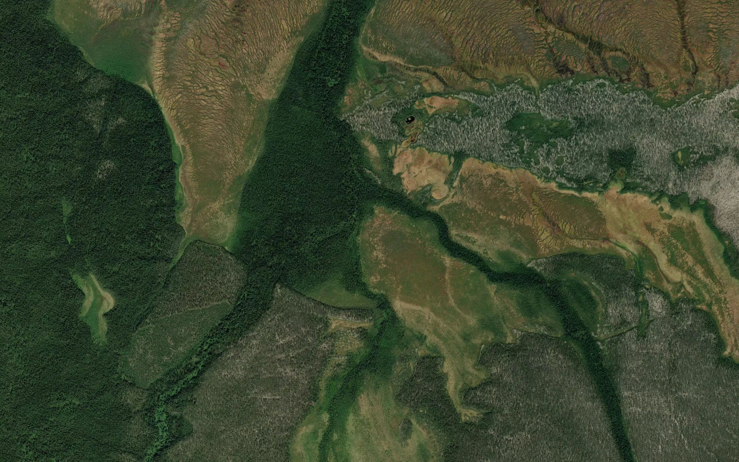 Medvezhiy