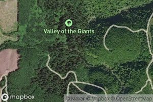 Warnicke Creek