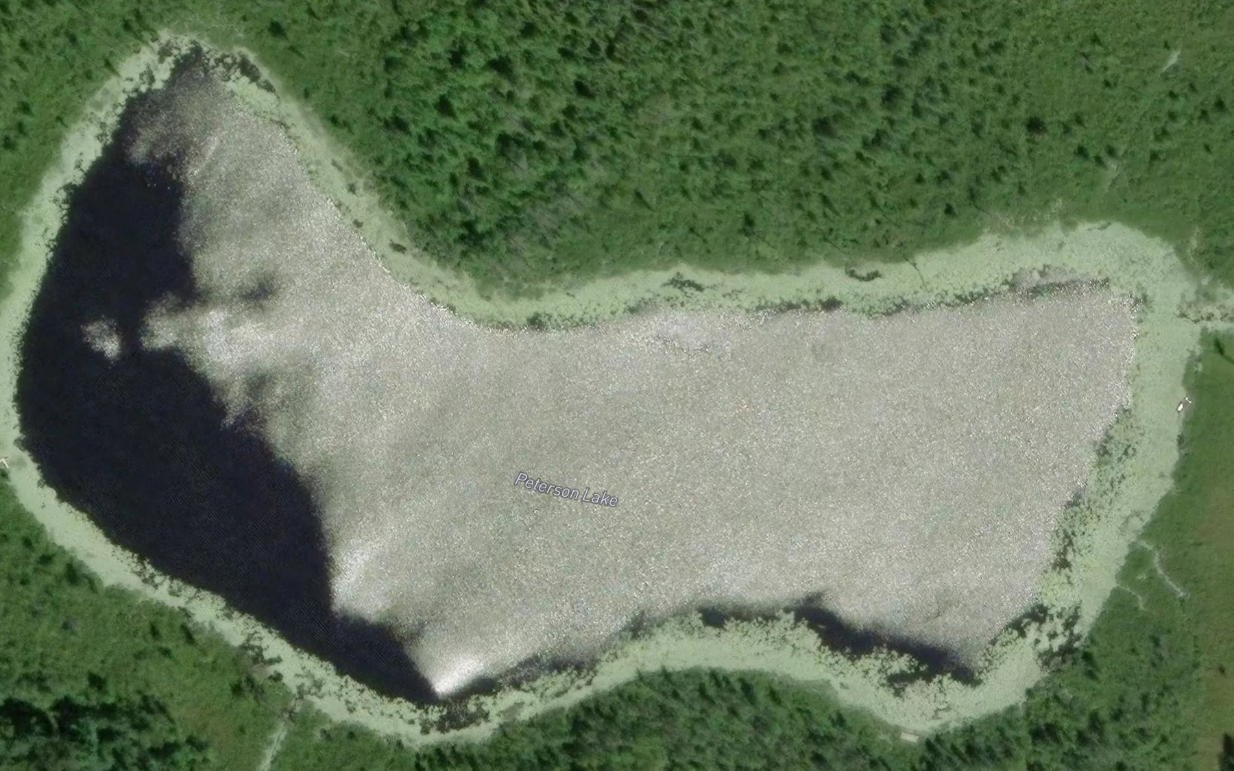 Satellite map of the Peterson Lake