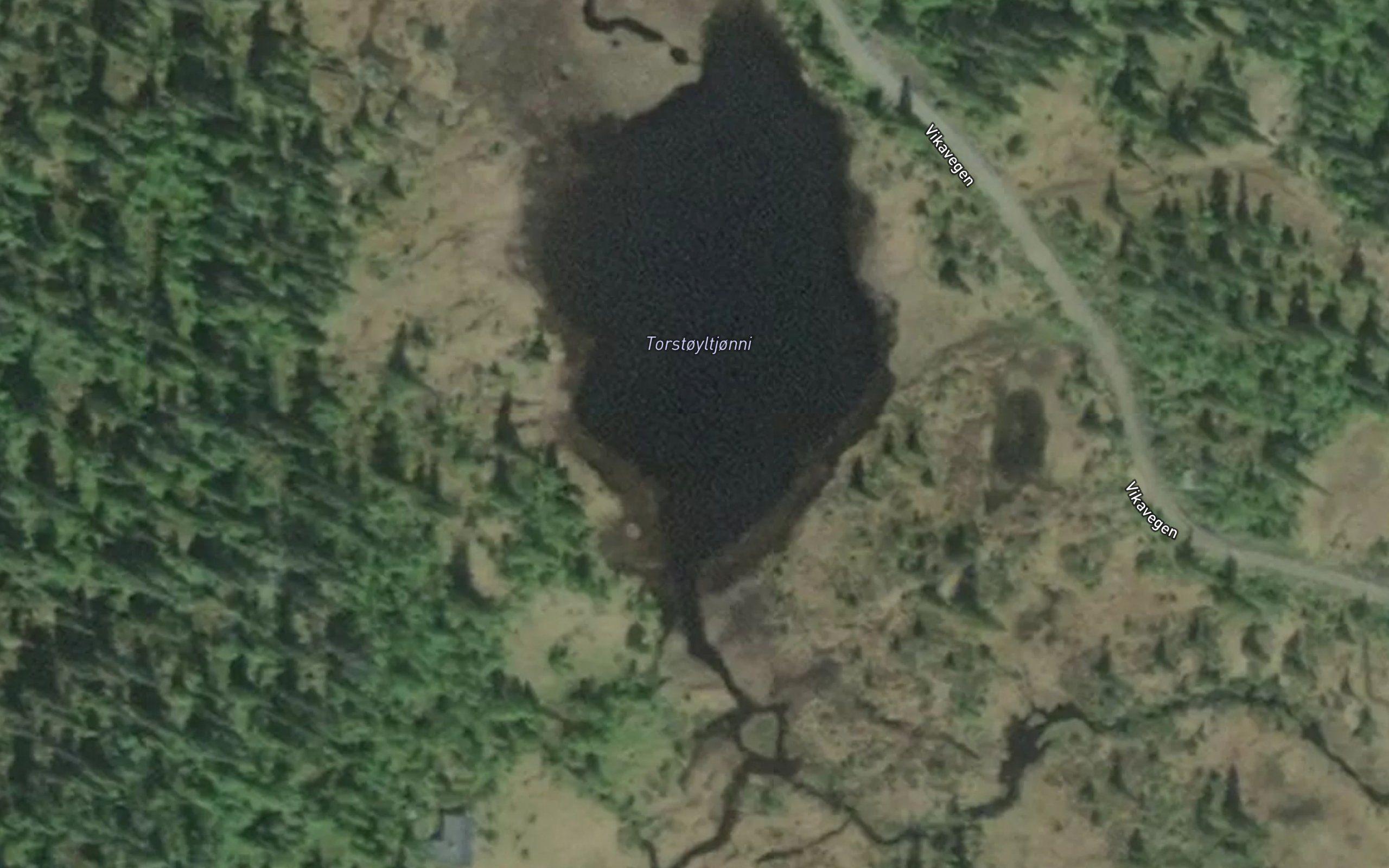Torstoyltjonni