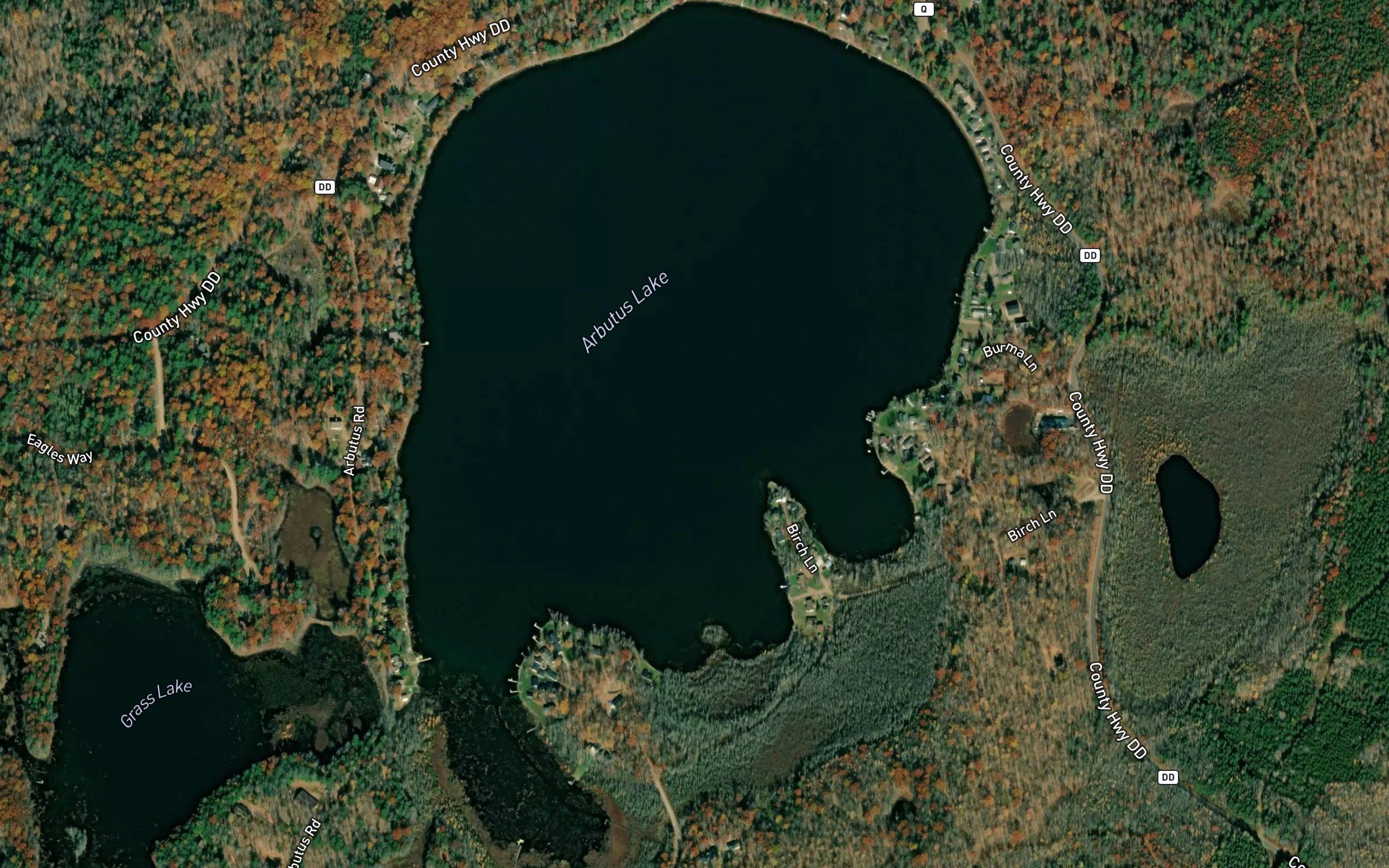 Arbutus Lake