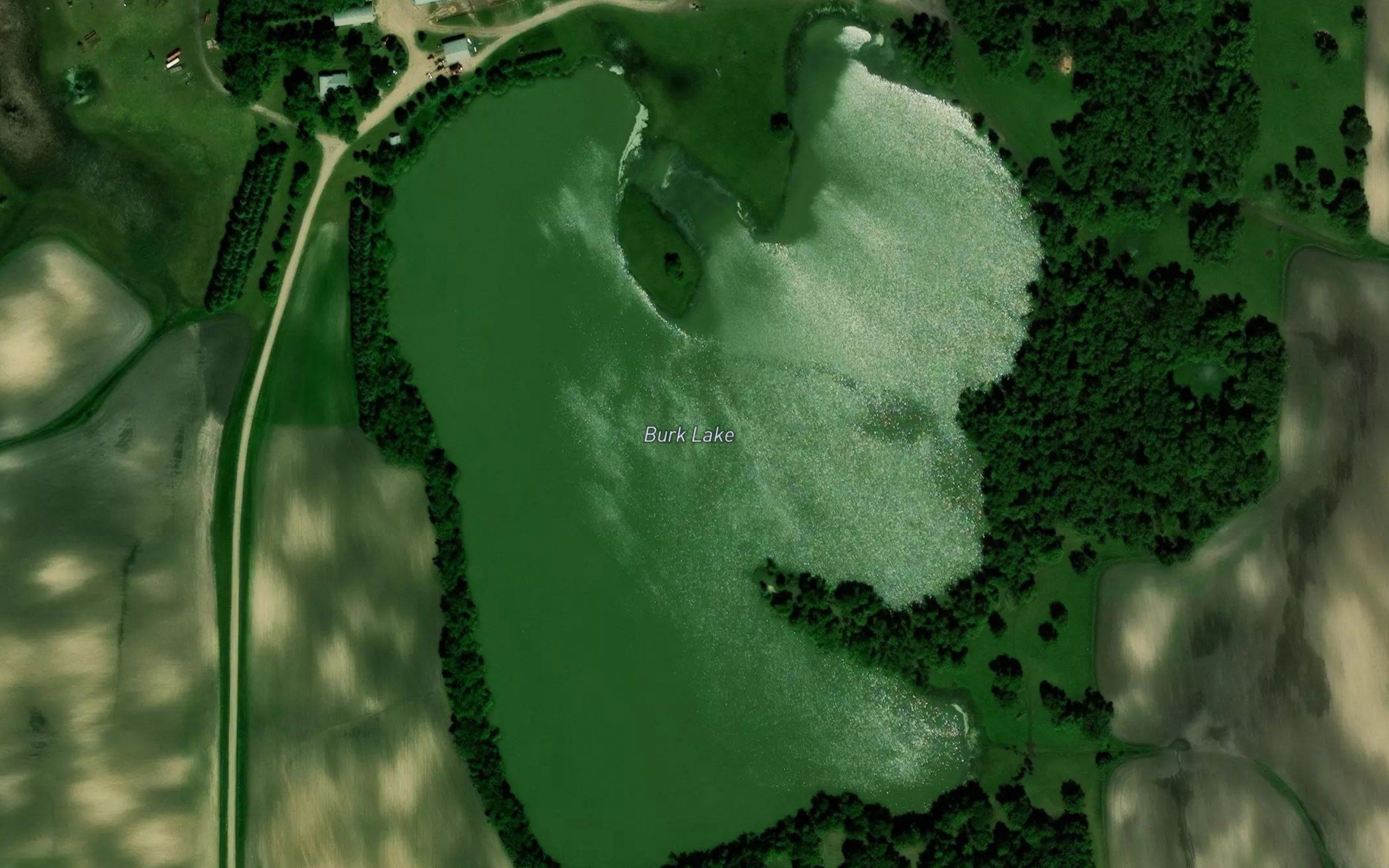 Burk Lake