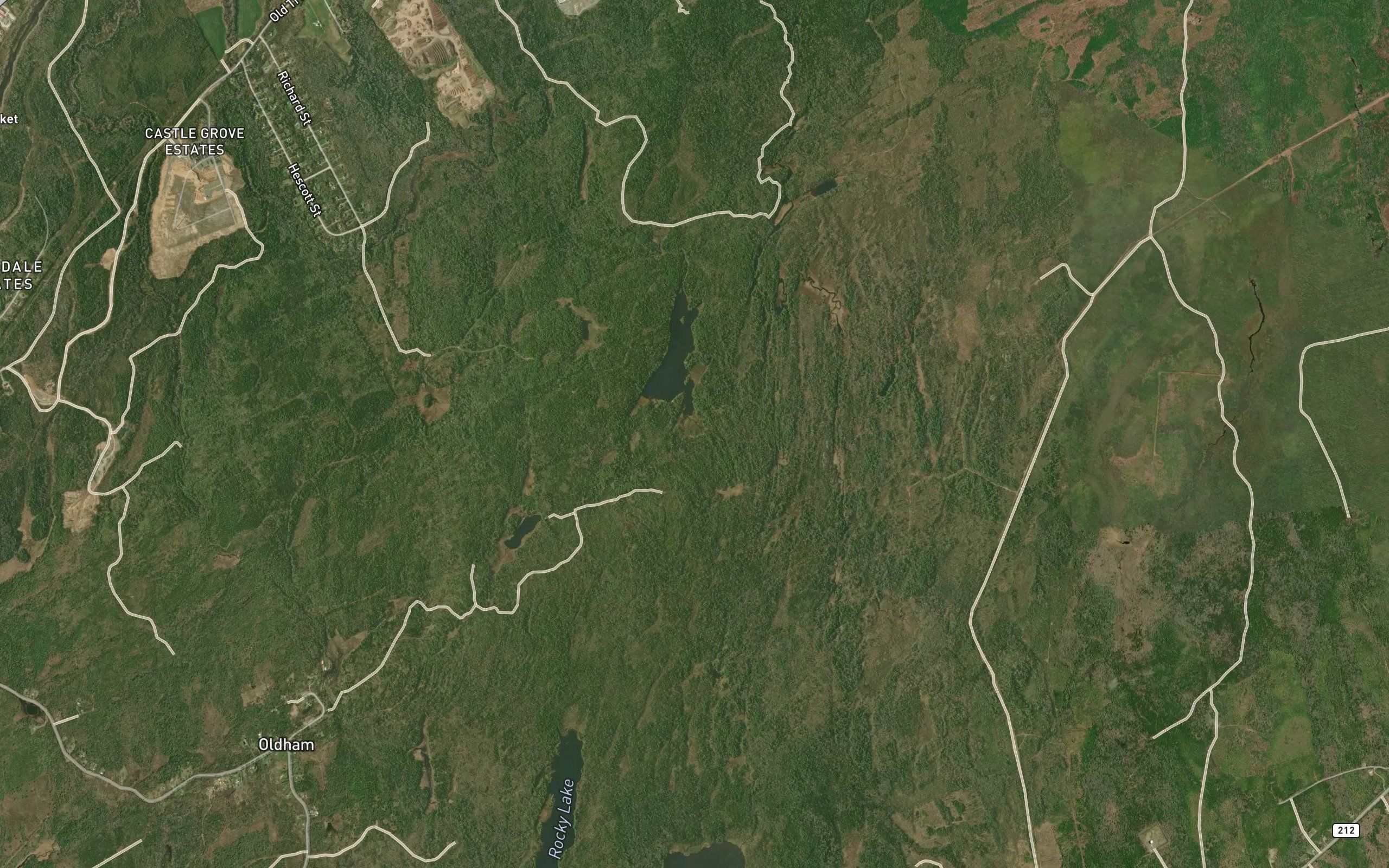 Beaver Pond