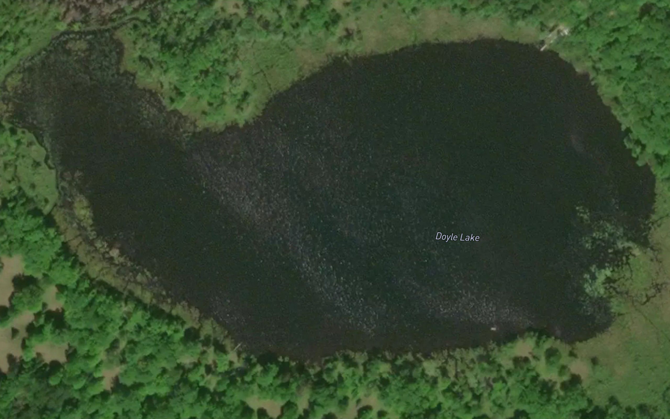 Doyle Lake