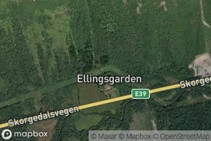 Ellingsgardelva