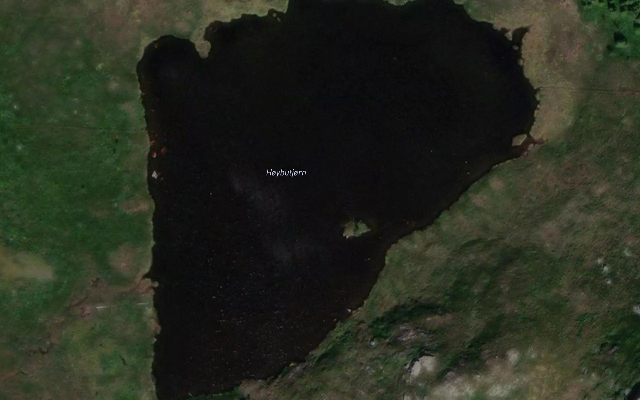 Hoybutjorn