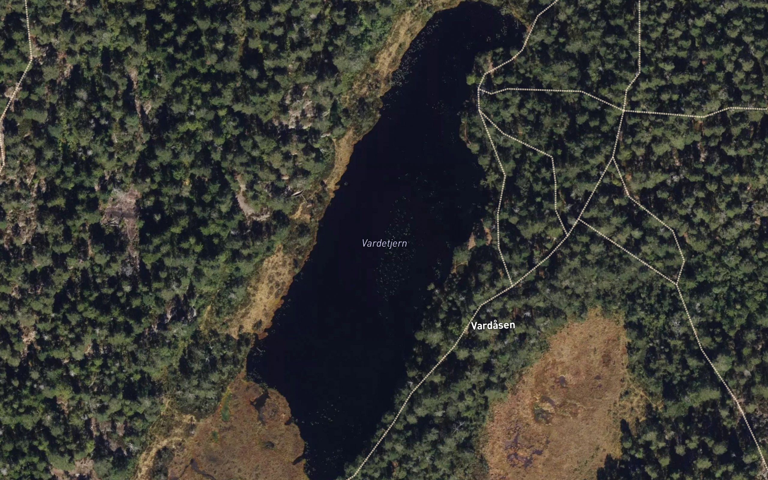 Vardetjern