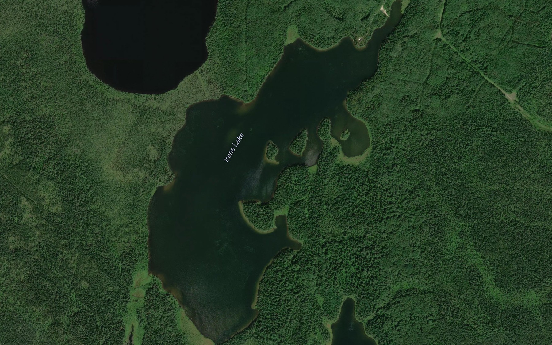 Satellite map of the Irene Lake