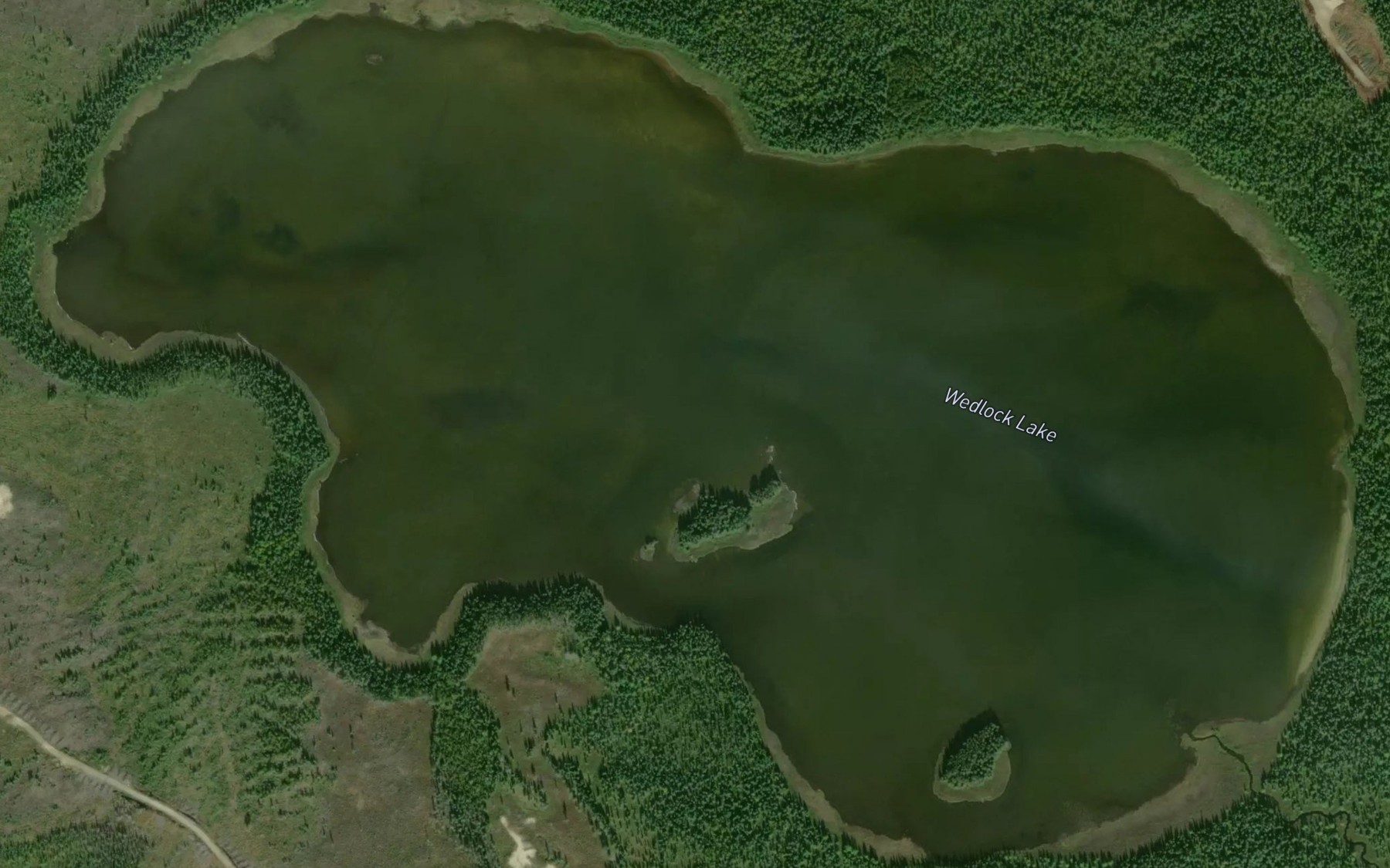 Satellite map of the Wedlock Lake