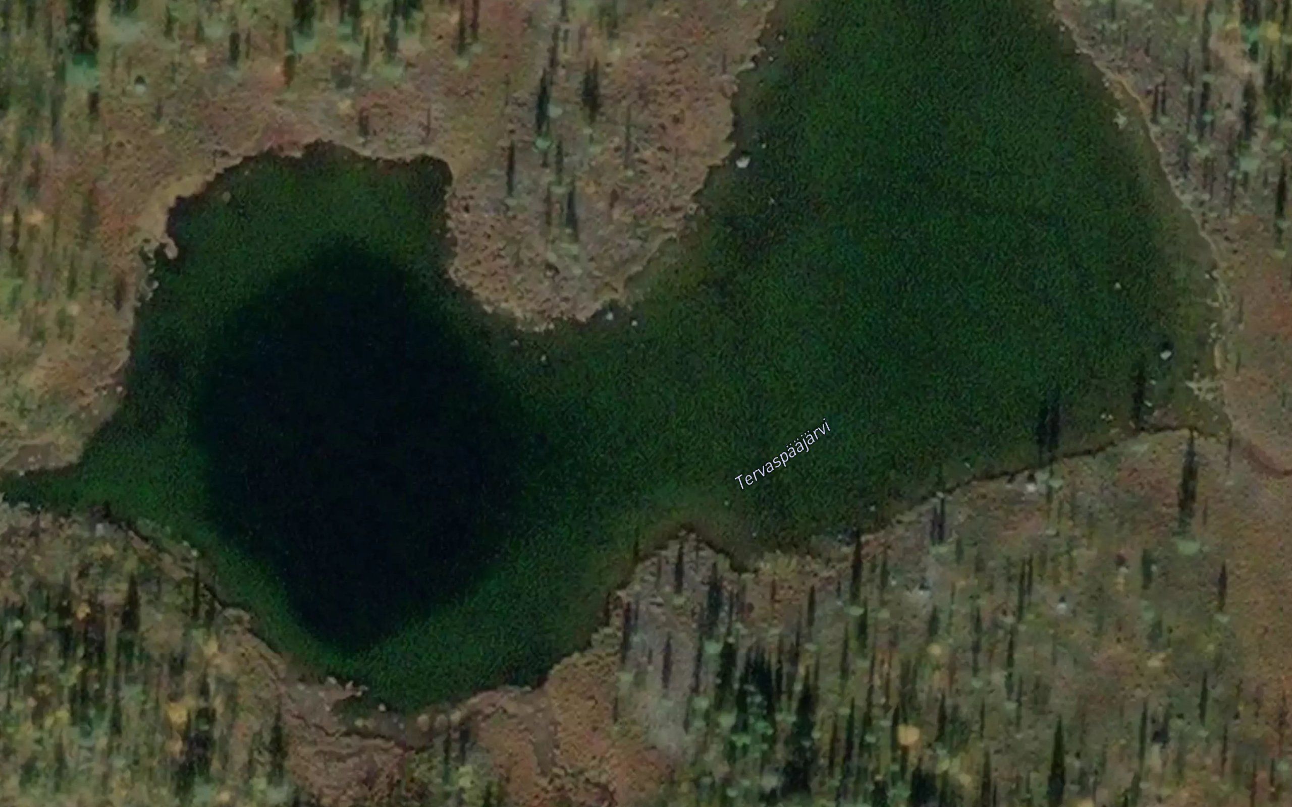 Tervaspaajarvi