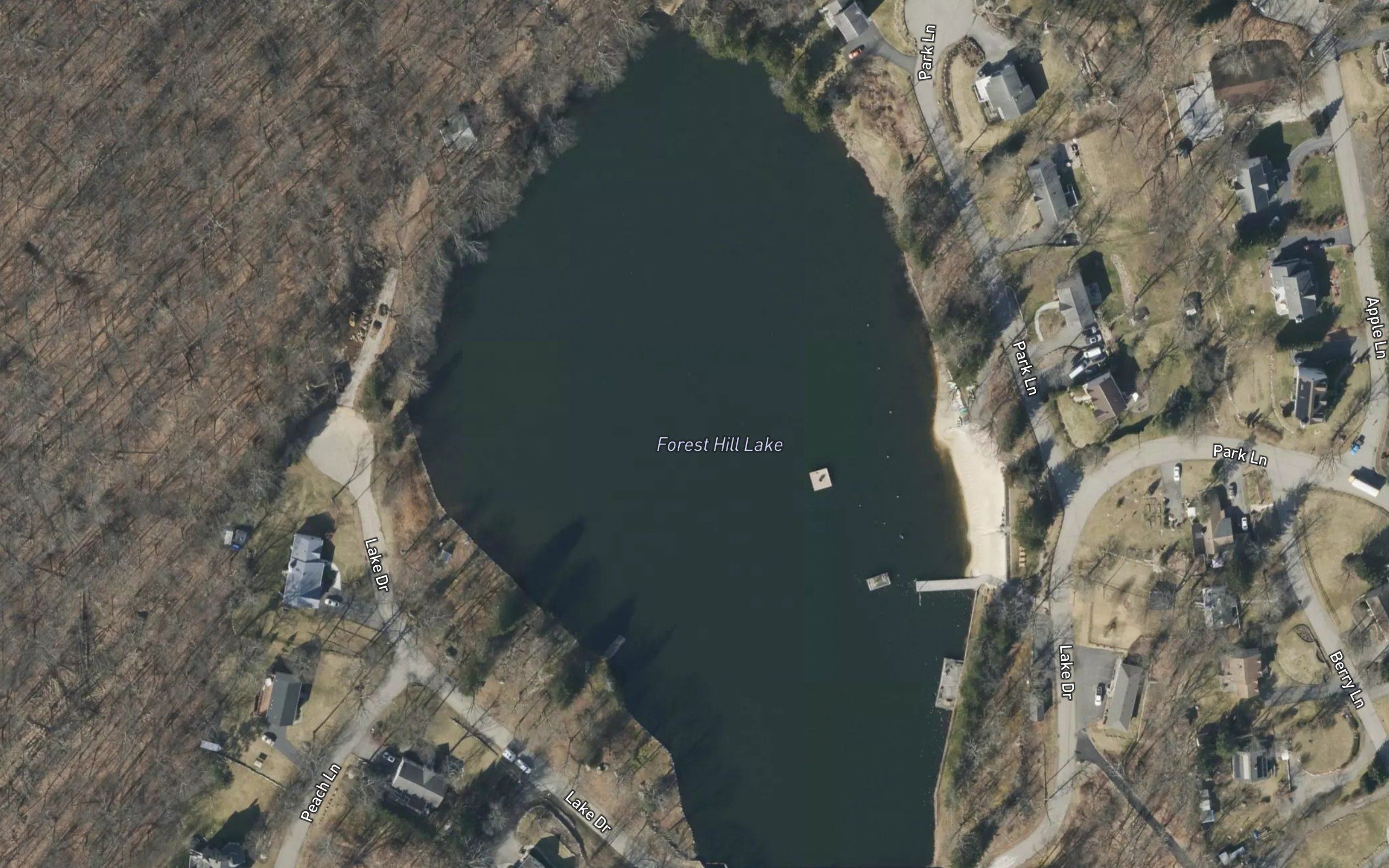 Forest Hill Lake
