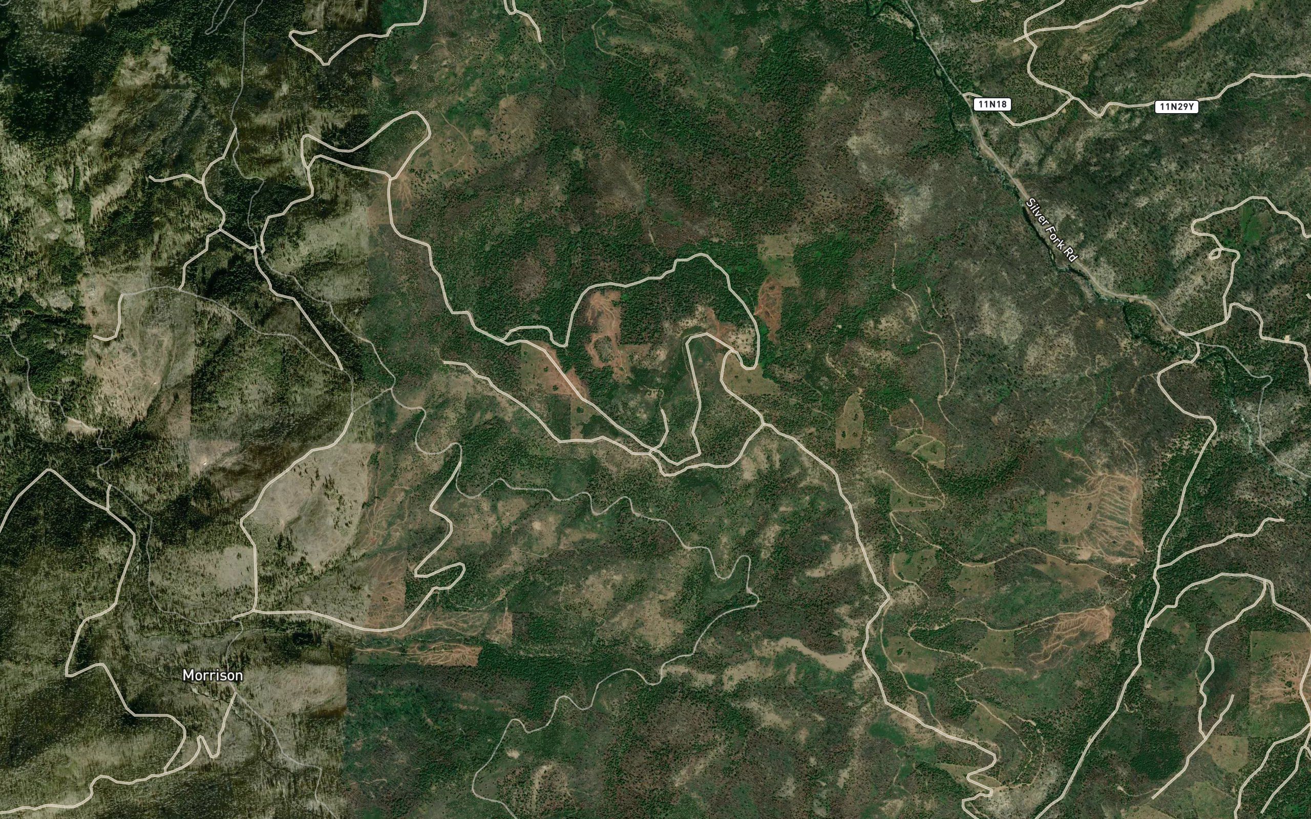 Oso Spring