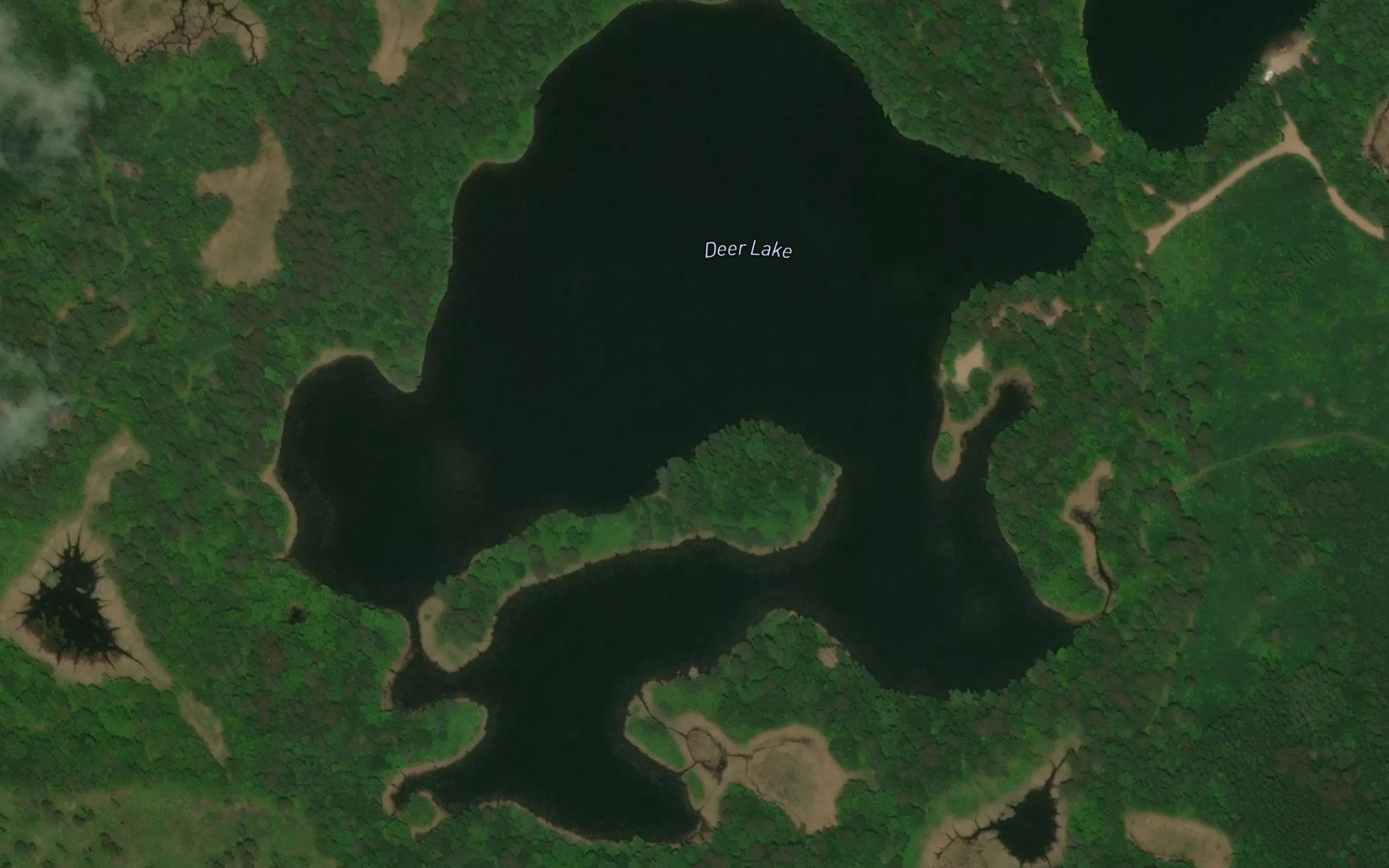 Deer Lake