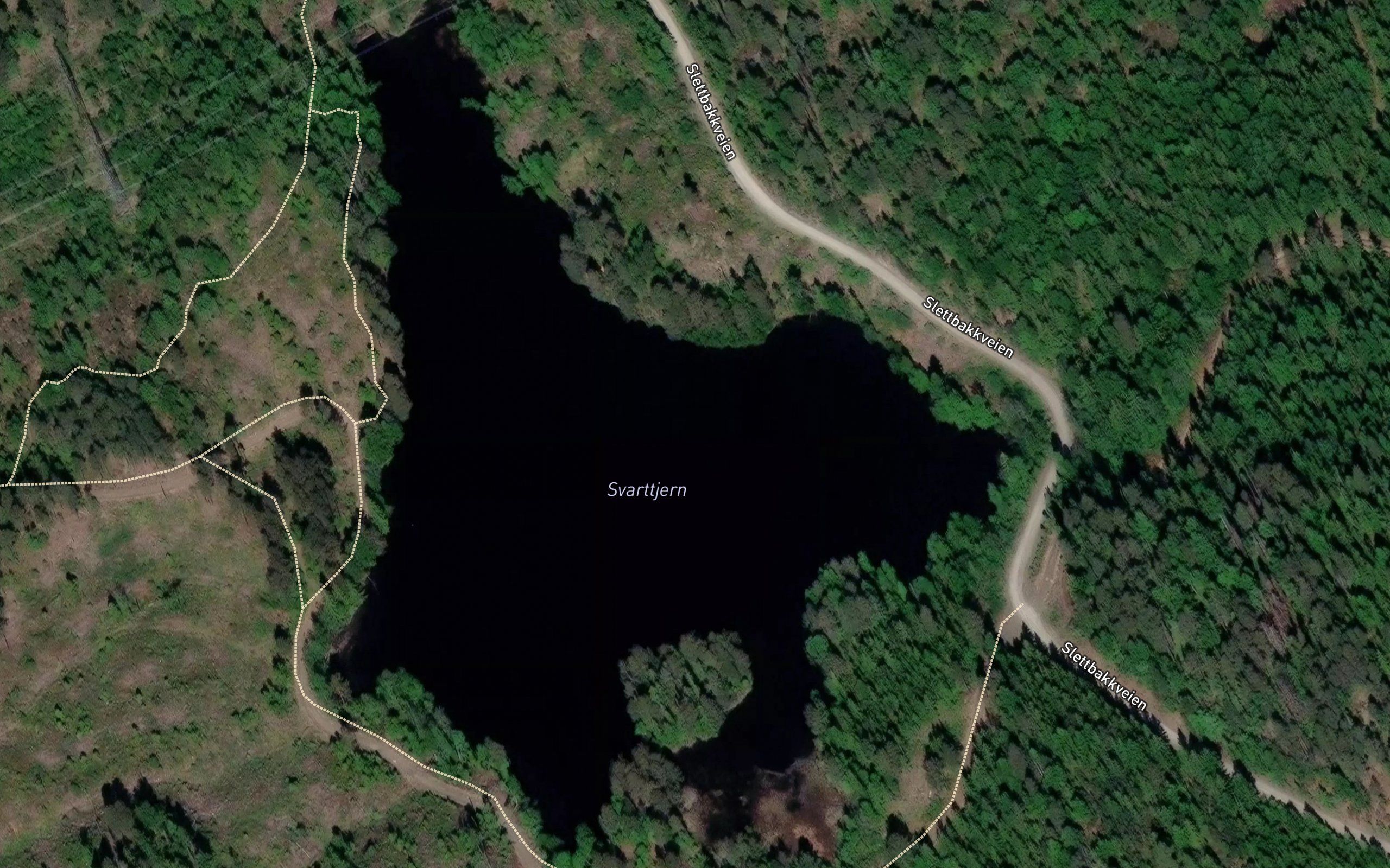 Svarttjern