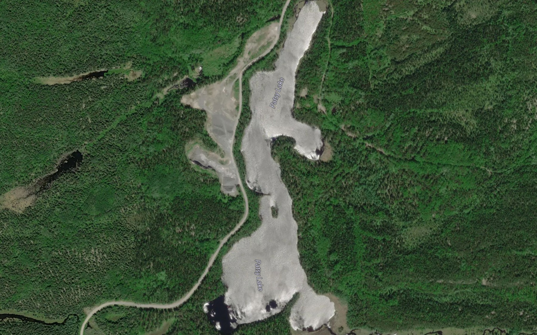 Satellite map of the Patsy Lake