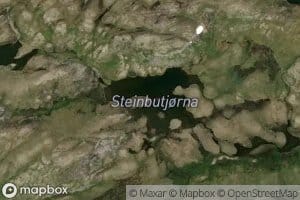 Steinbutjorni