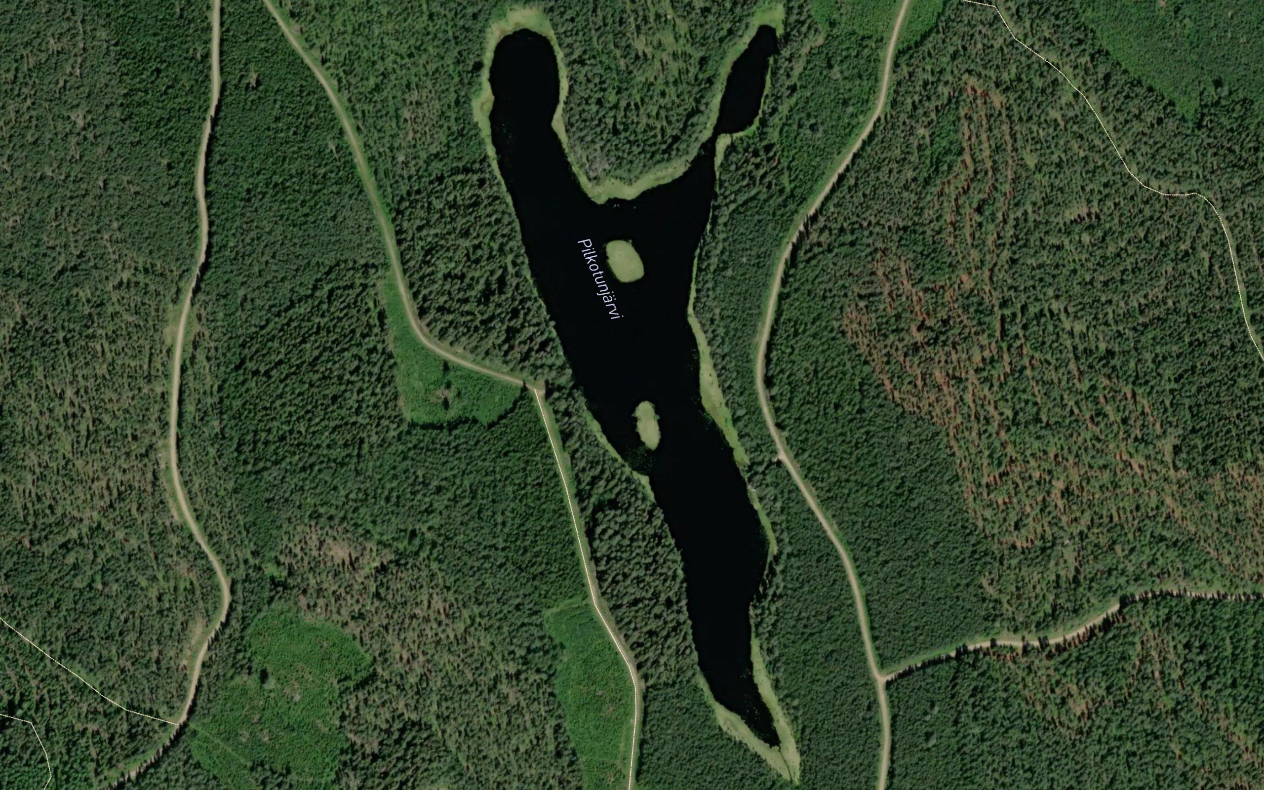 Pilkotunjarvi
