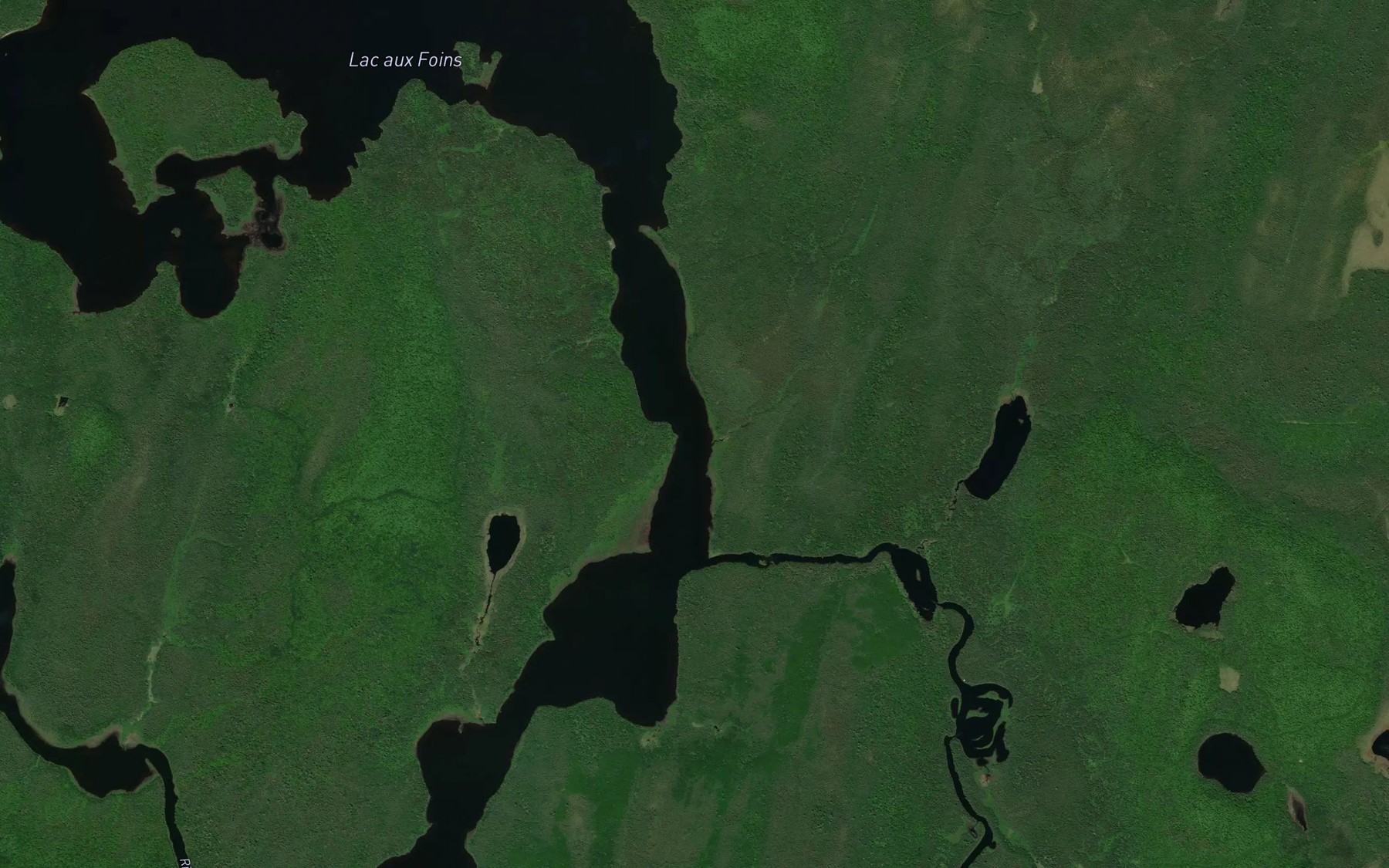 Satellite map of the Ruisseau Brazeau