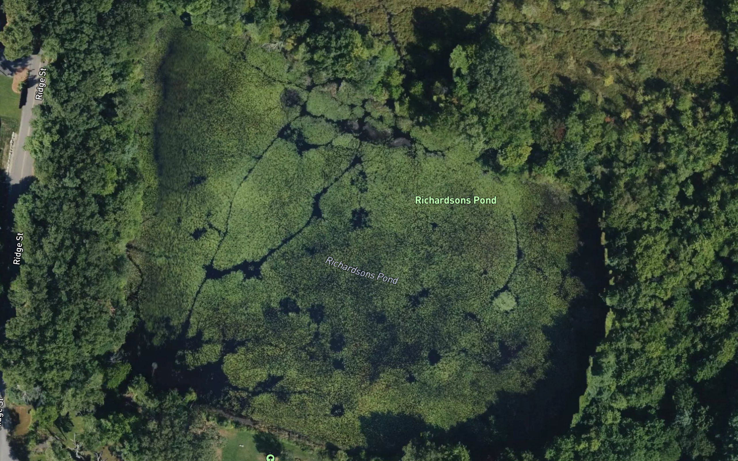 Richardsons Pond