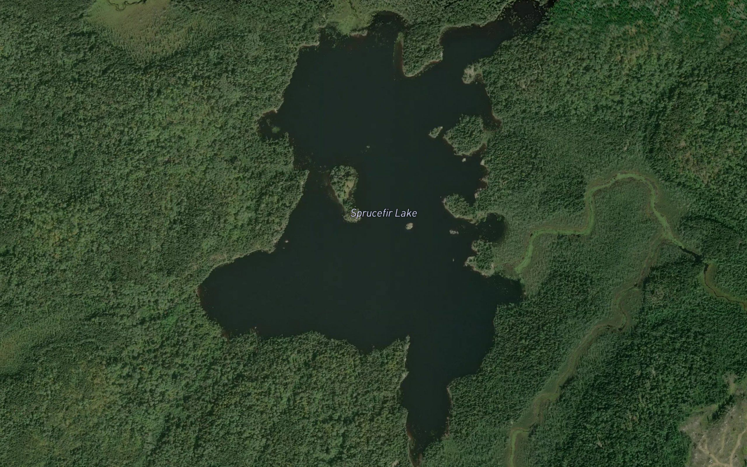 Sprucefir Lake