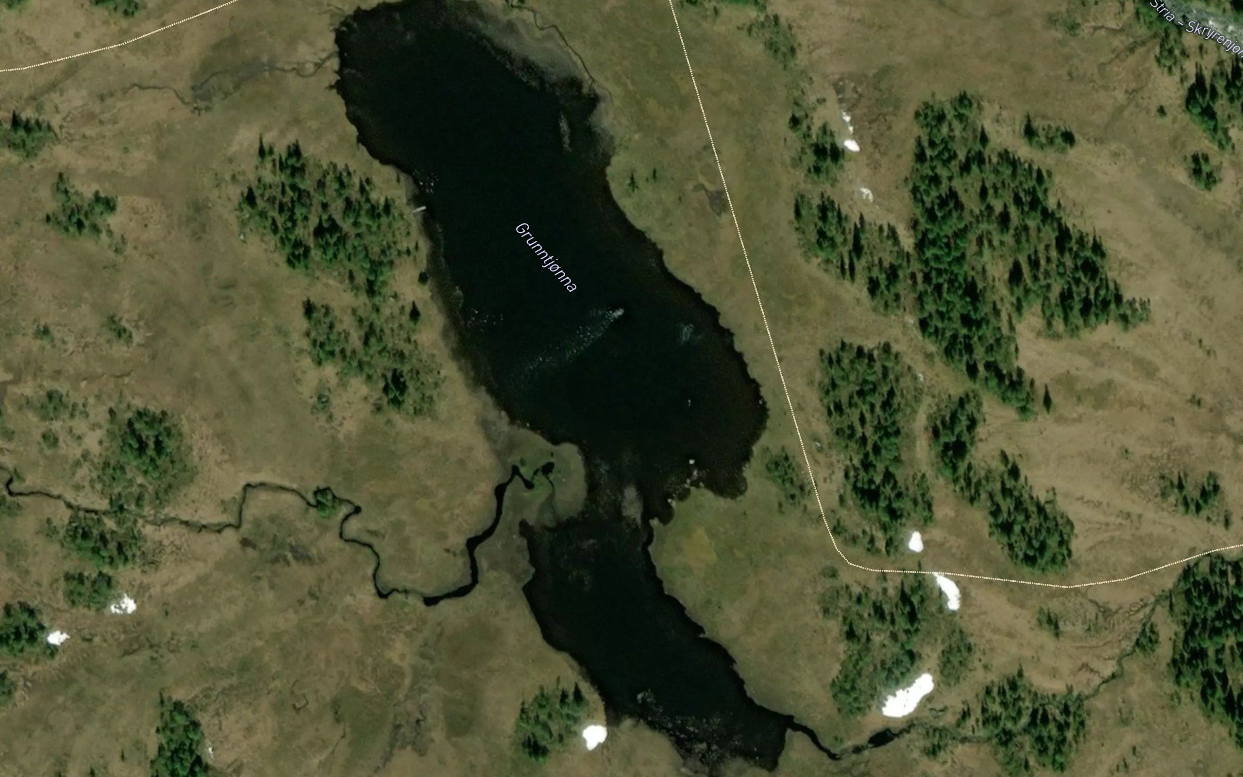 Grunntjorna