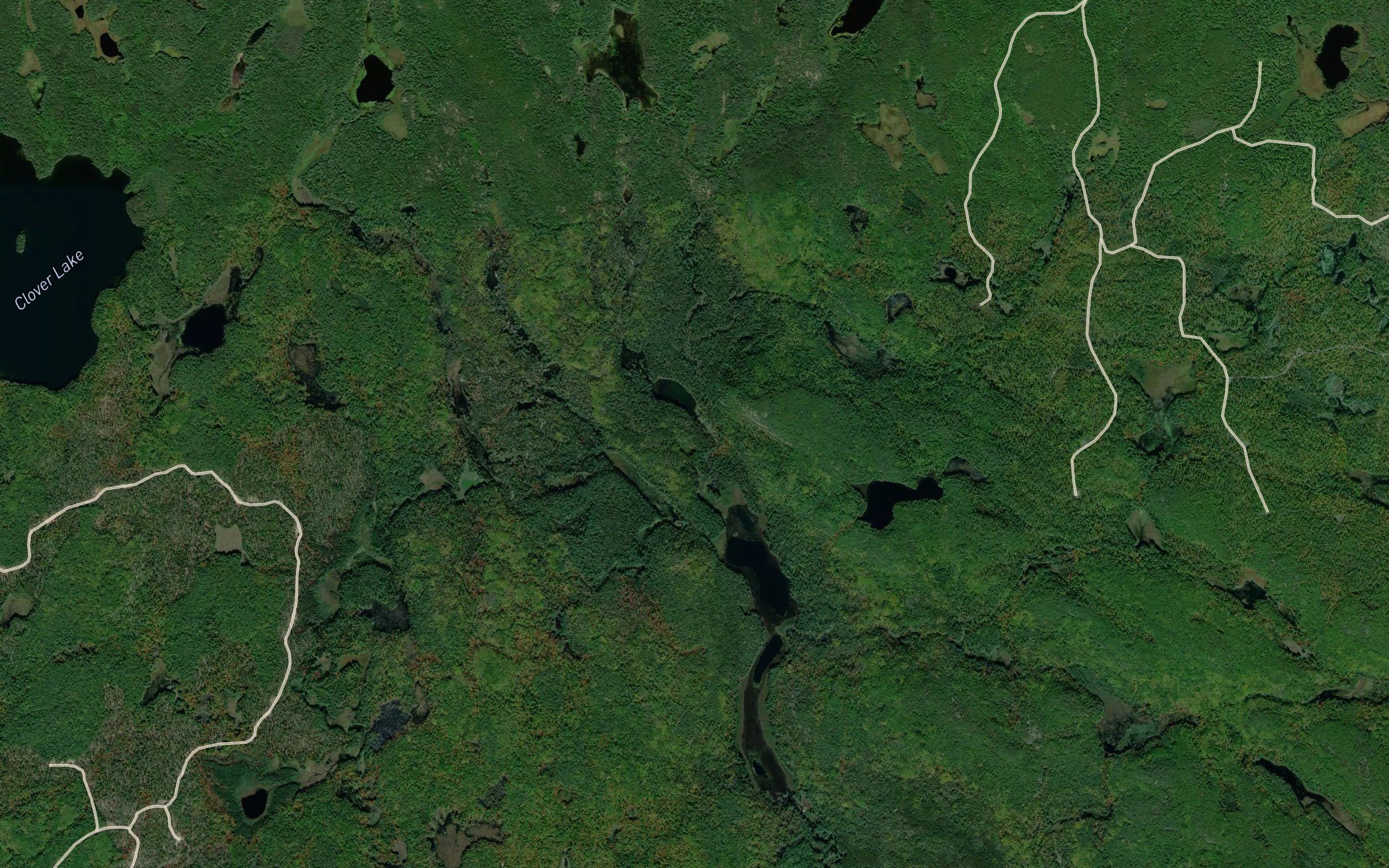 Zigzag Creek