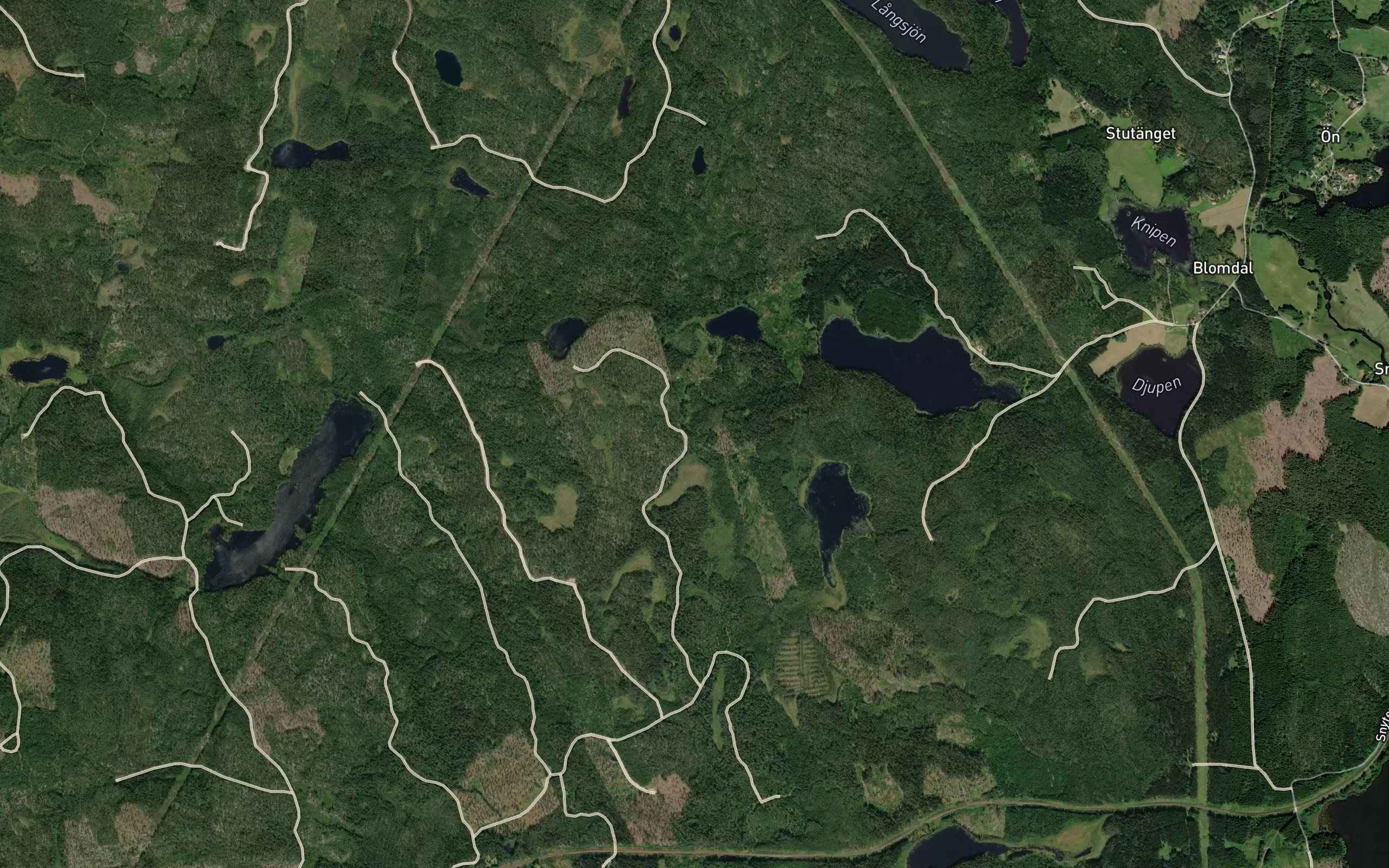 Gaslungen