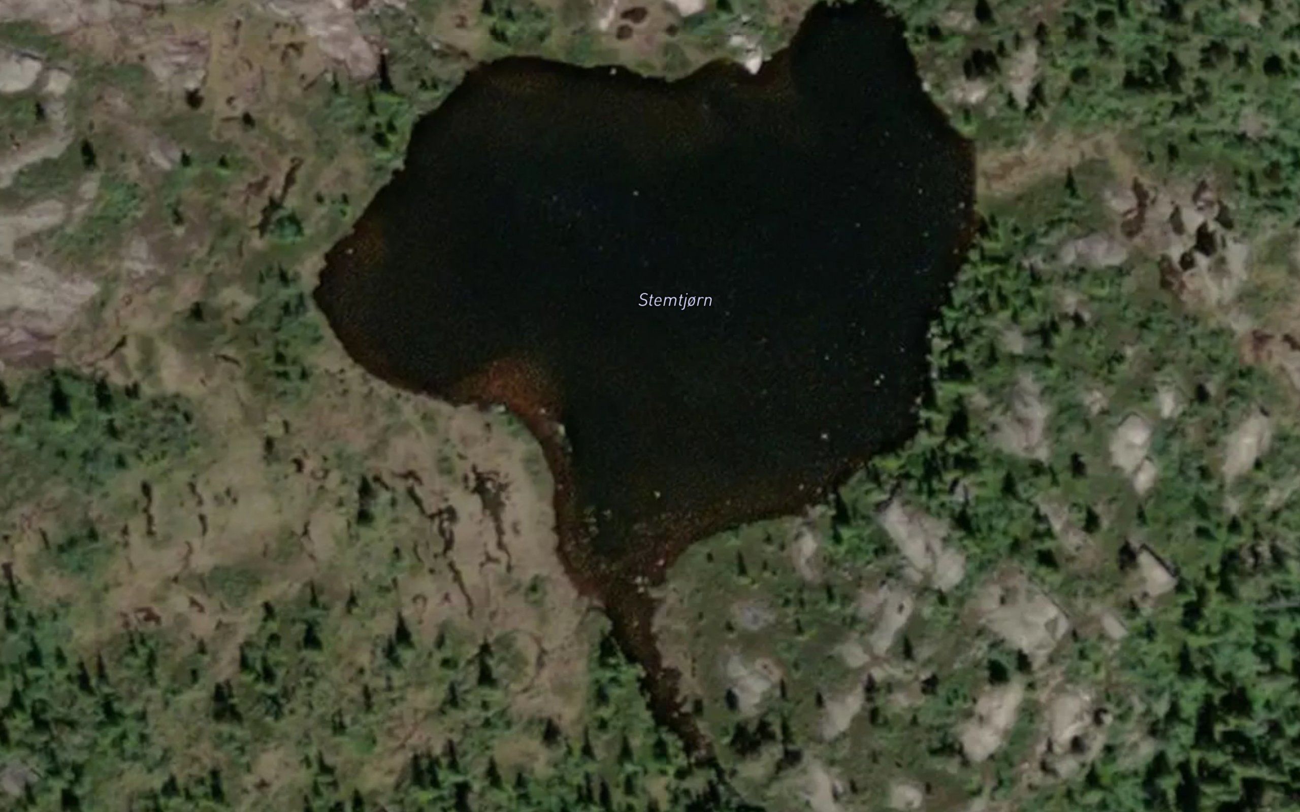 Stemtjorn