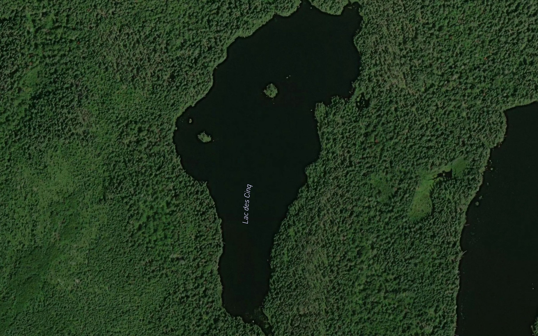 Satellite map of the Lac des Cinq