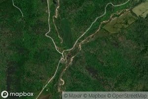 Sugar Tree Grove Spring