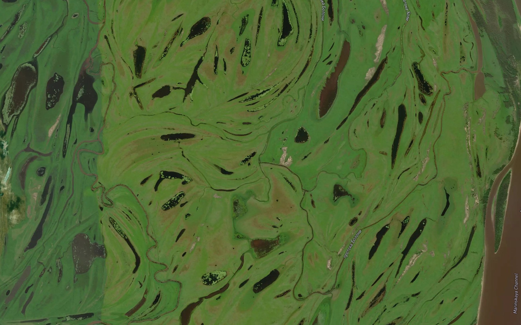 Satellite map of the Protoka Kholi