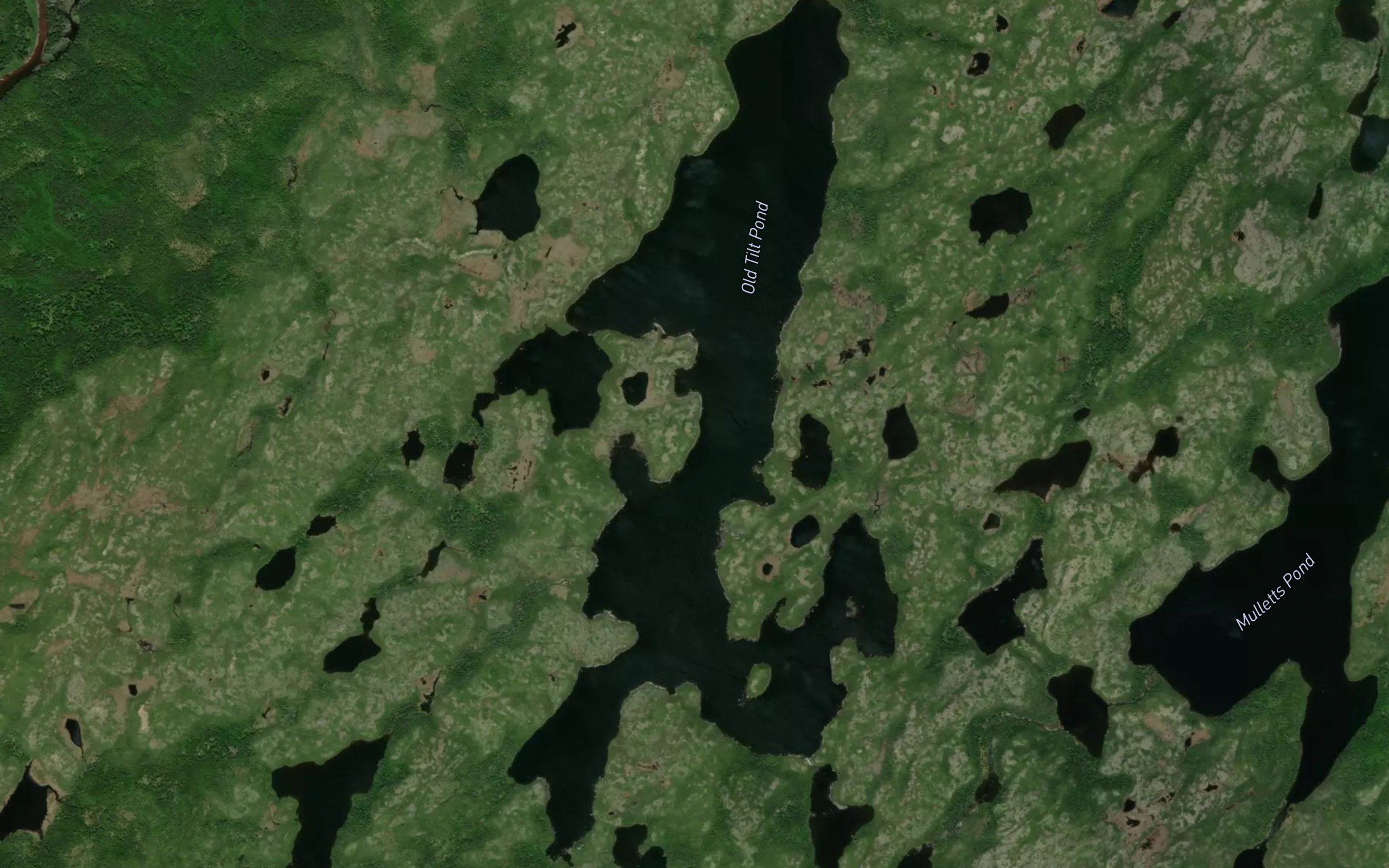 Old Tilt Pond