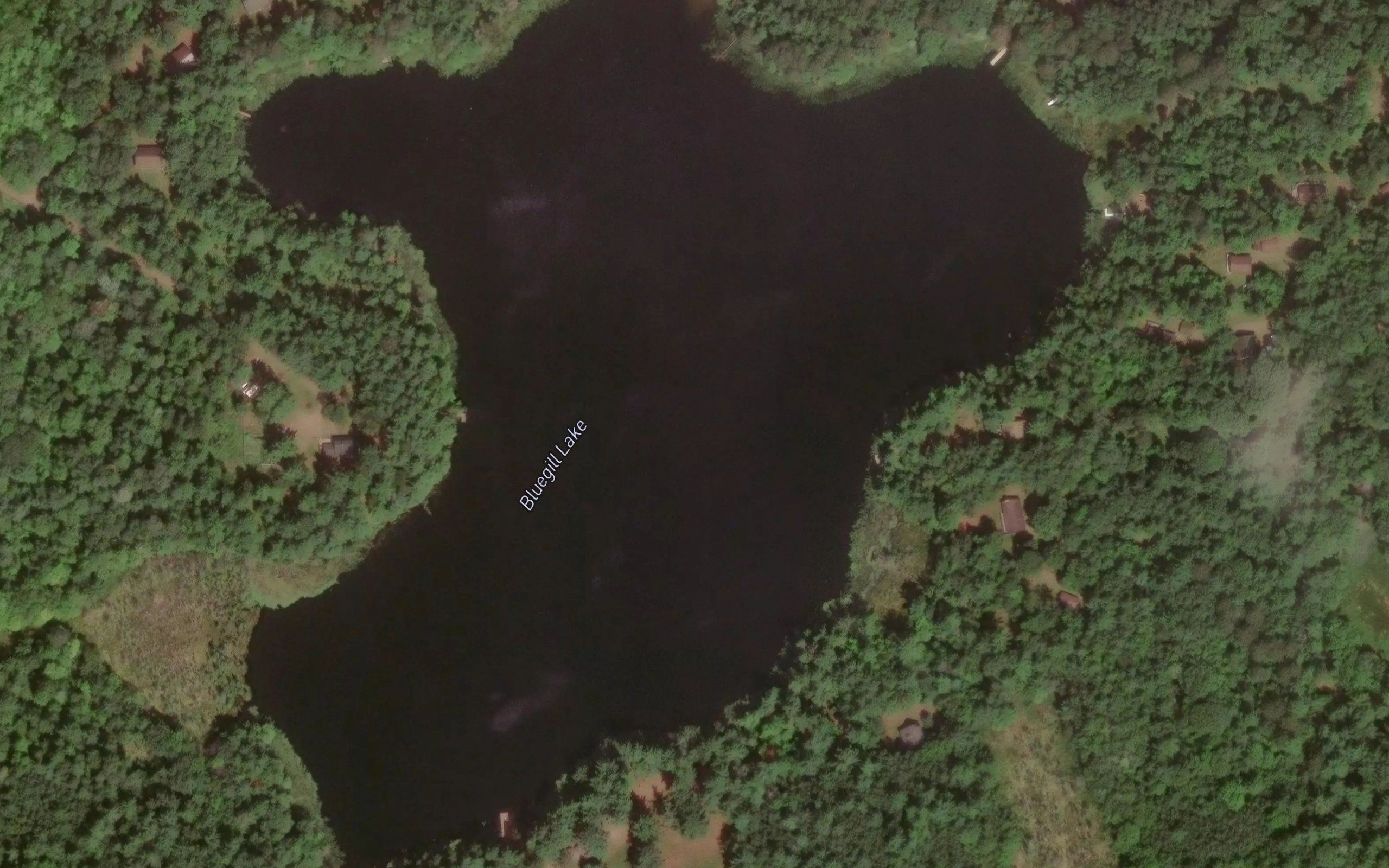 Blue Gill Lake